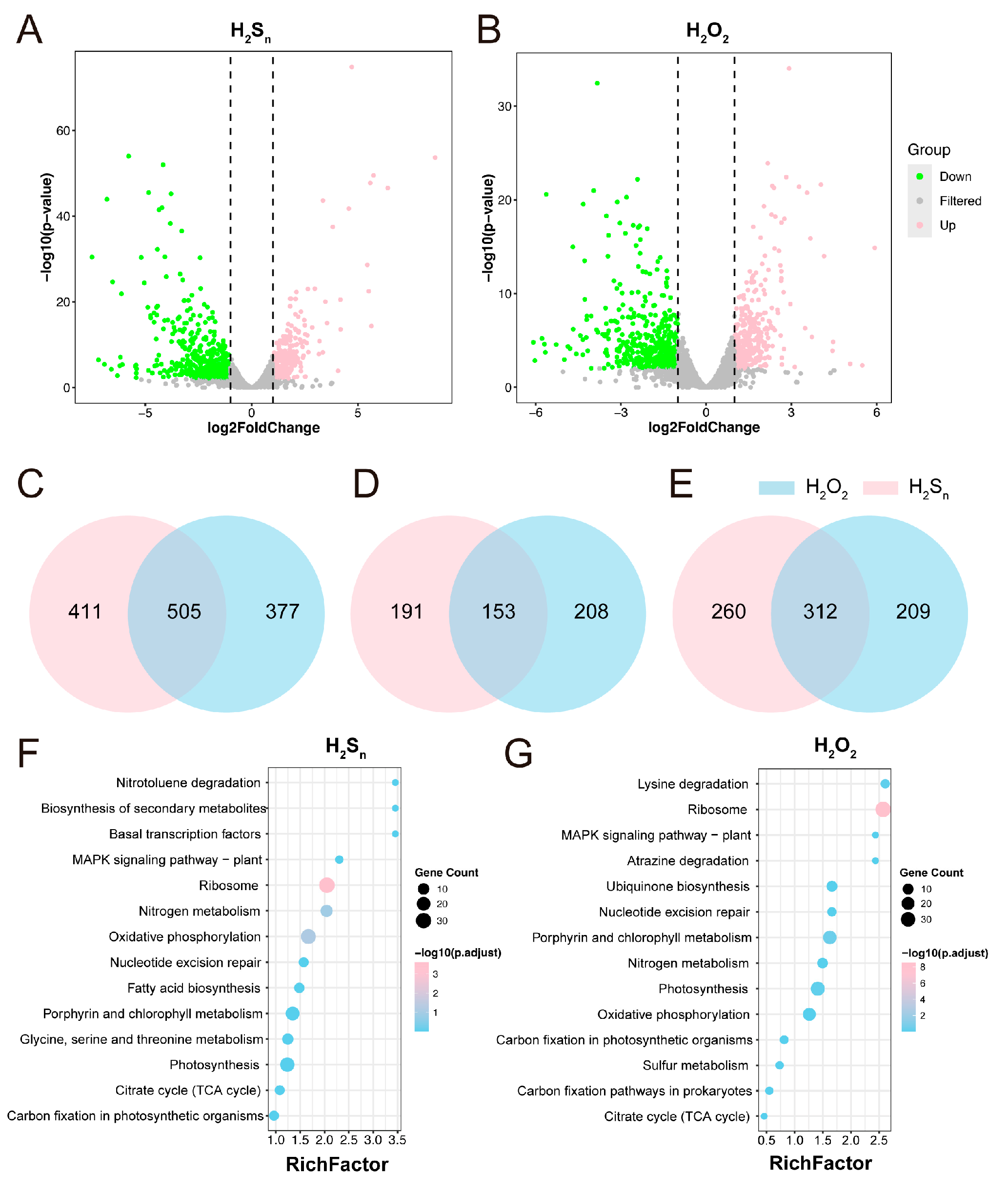 Antioxidants 14 01122 g002 Antioxidants 14 01122 g002