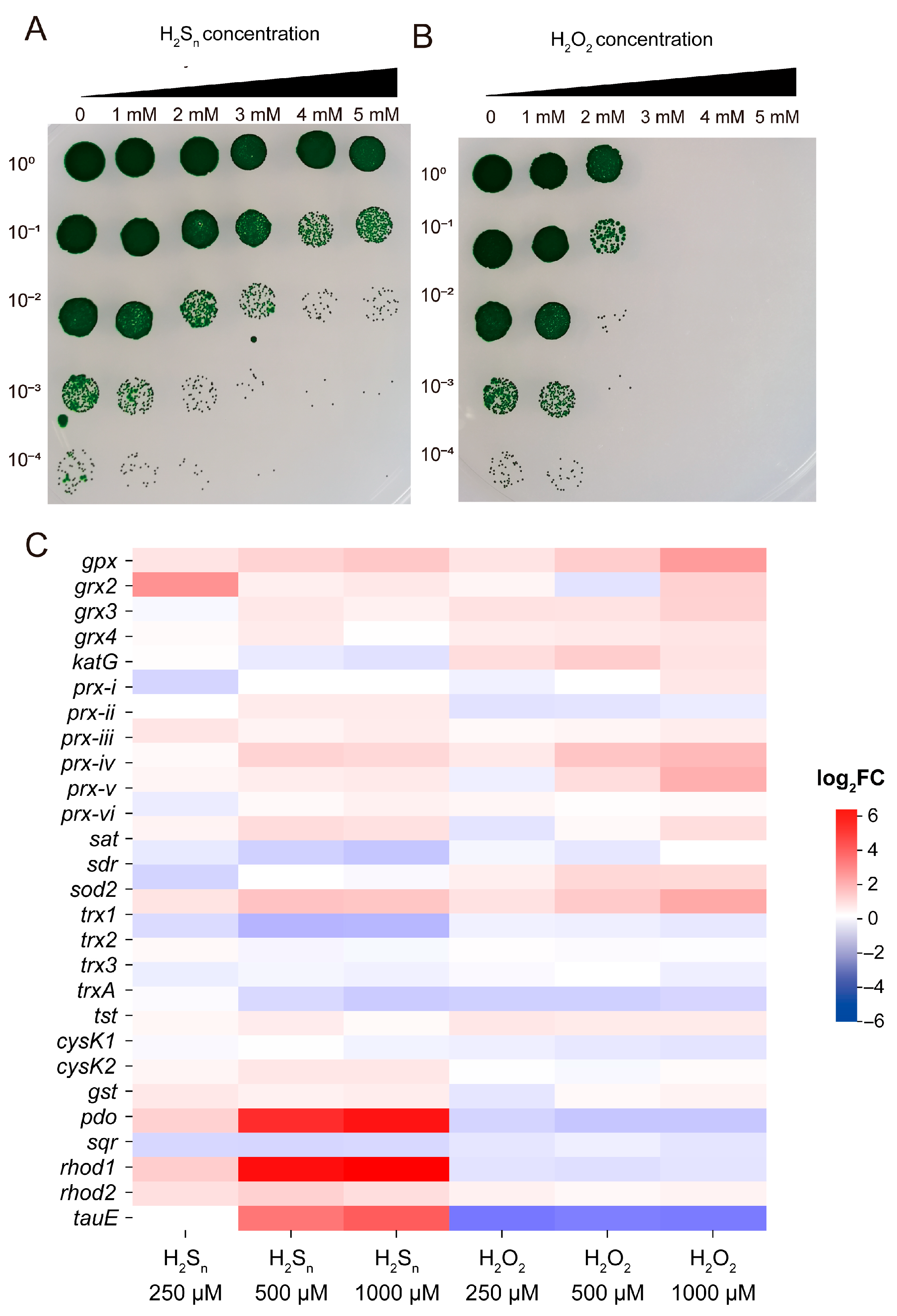 Antioxidants 14 01122 g005 Antioxidants 14 01122 g005