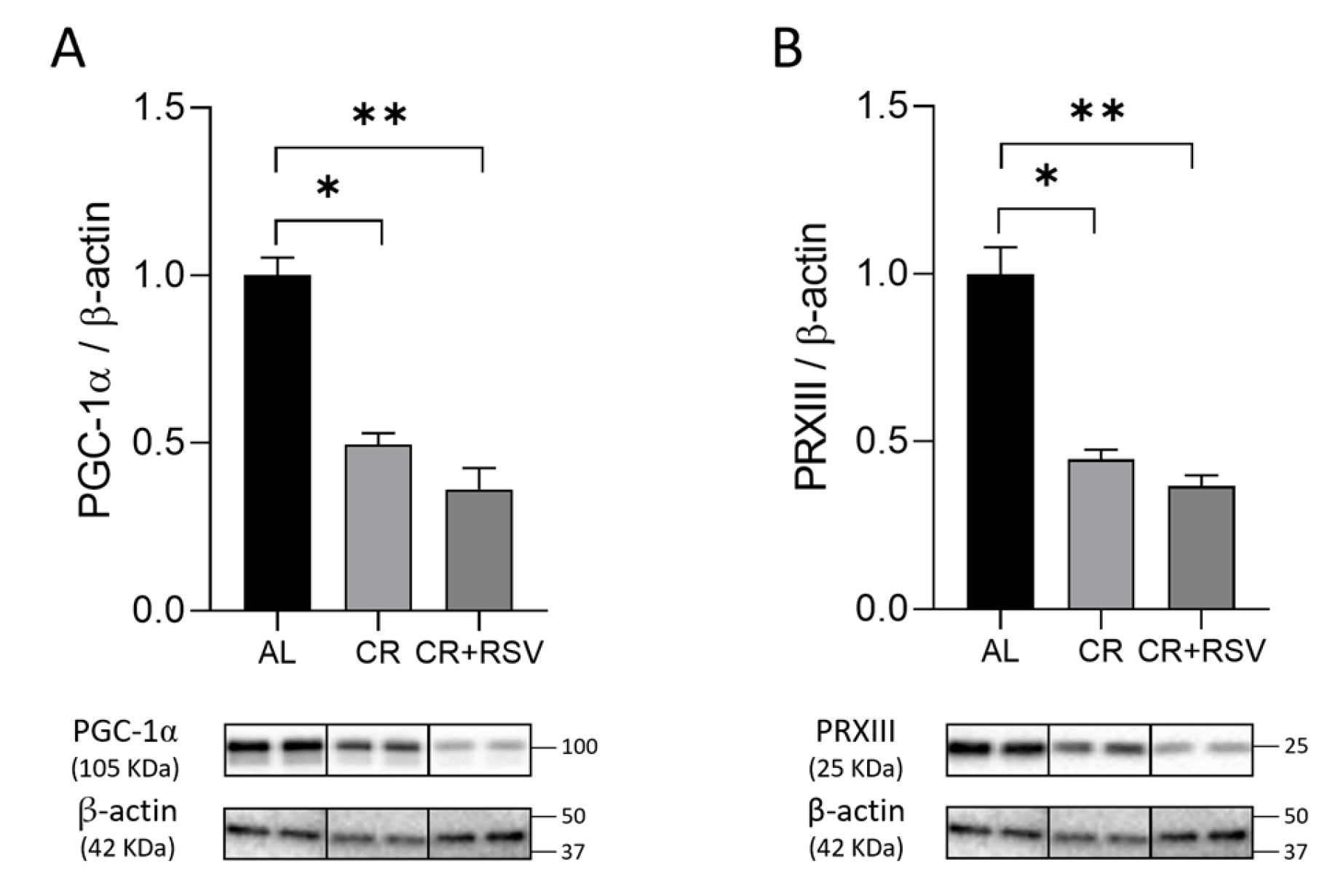 Antioxidants 14 01125 g002 Antioxidants 14 01125 g002