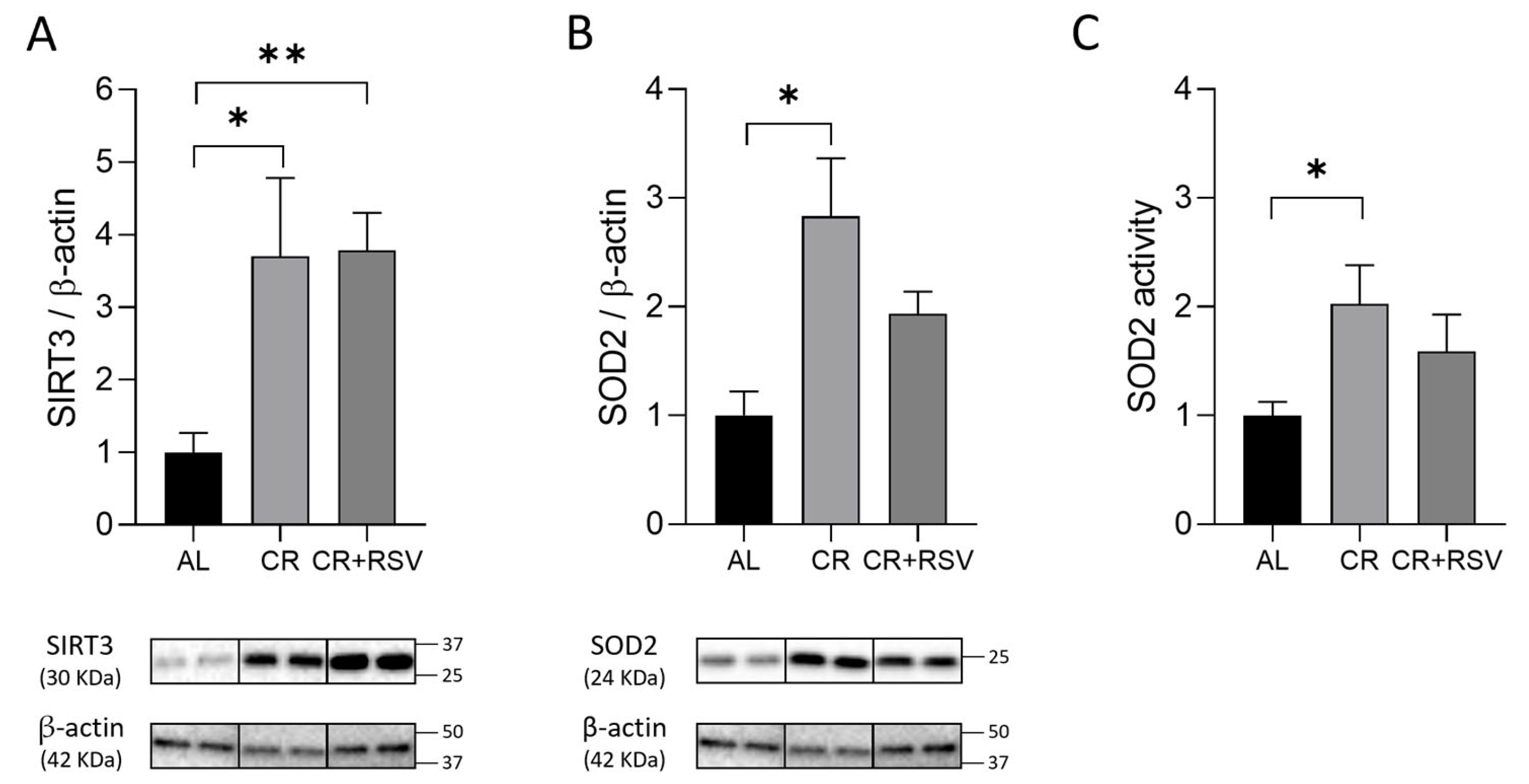 Antioxidants 14 01125 g003 Antioxidants 14 01125 g003