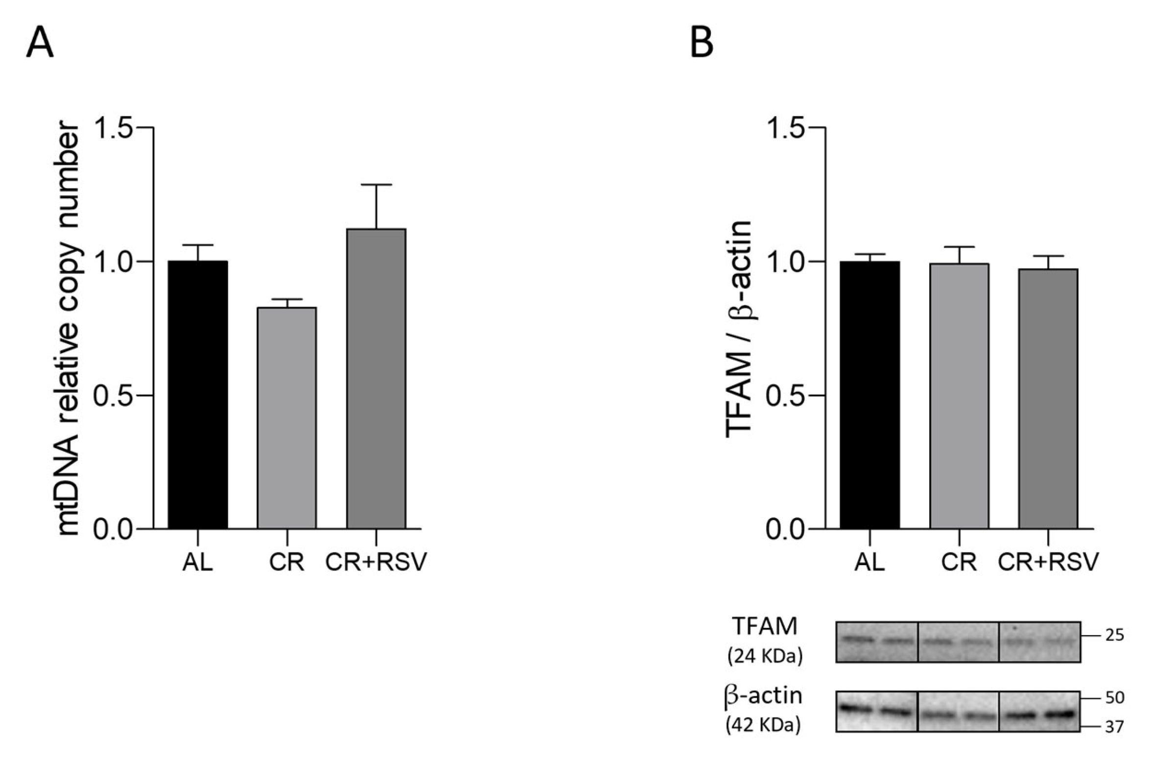 Antioxidants 14 01125 g006 Antioxidants 14 01125 g006