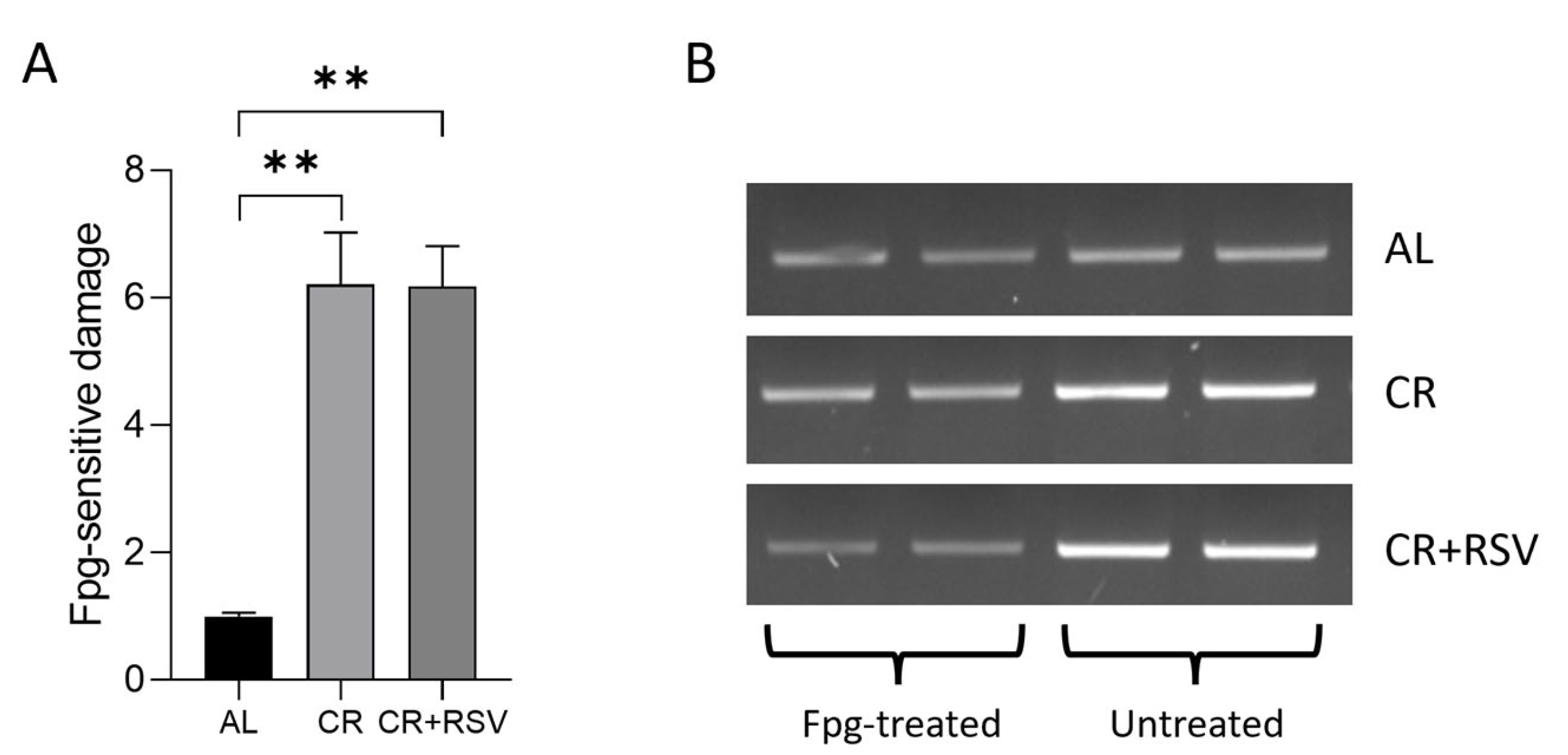 Antioxidants 14 01125 g007 Antioxidants 14 01125 g007