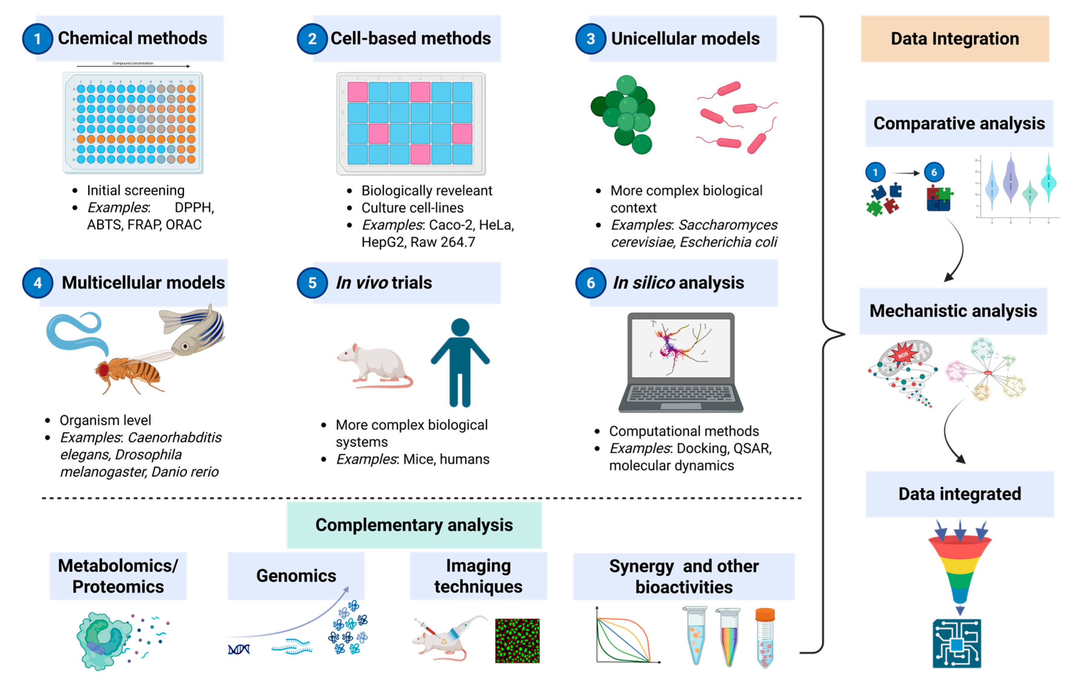 Antioxidants 14 01127 g003