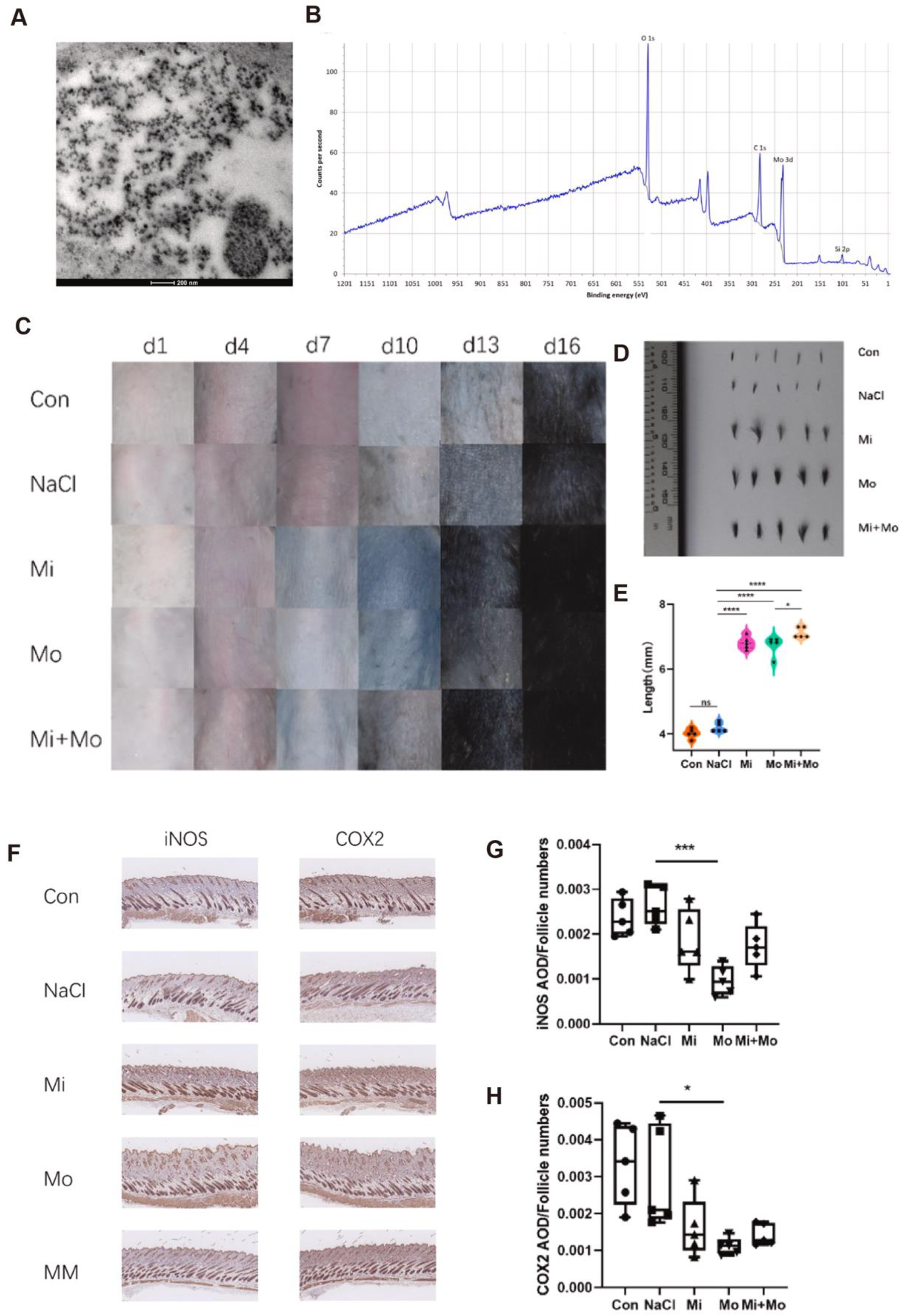 Antioxidants 14 01128 g001 Antioxidants 14 01128 g001