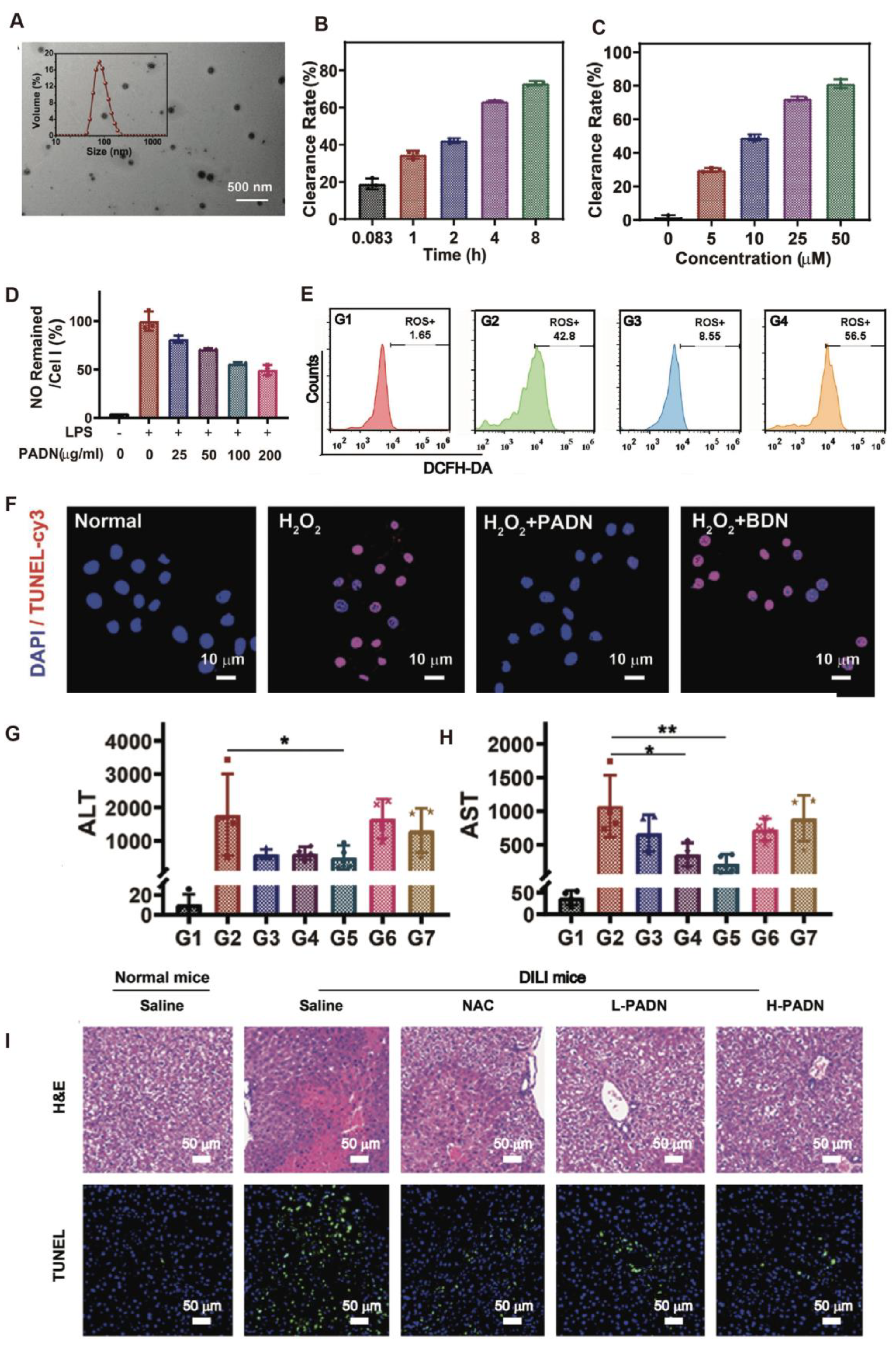 Antioxidants 14 01128 g004 Antioxidants 14 01128 g004