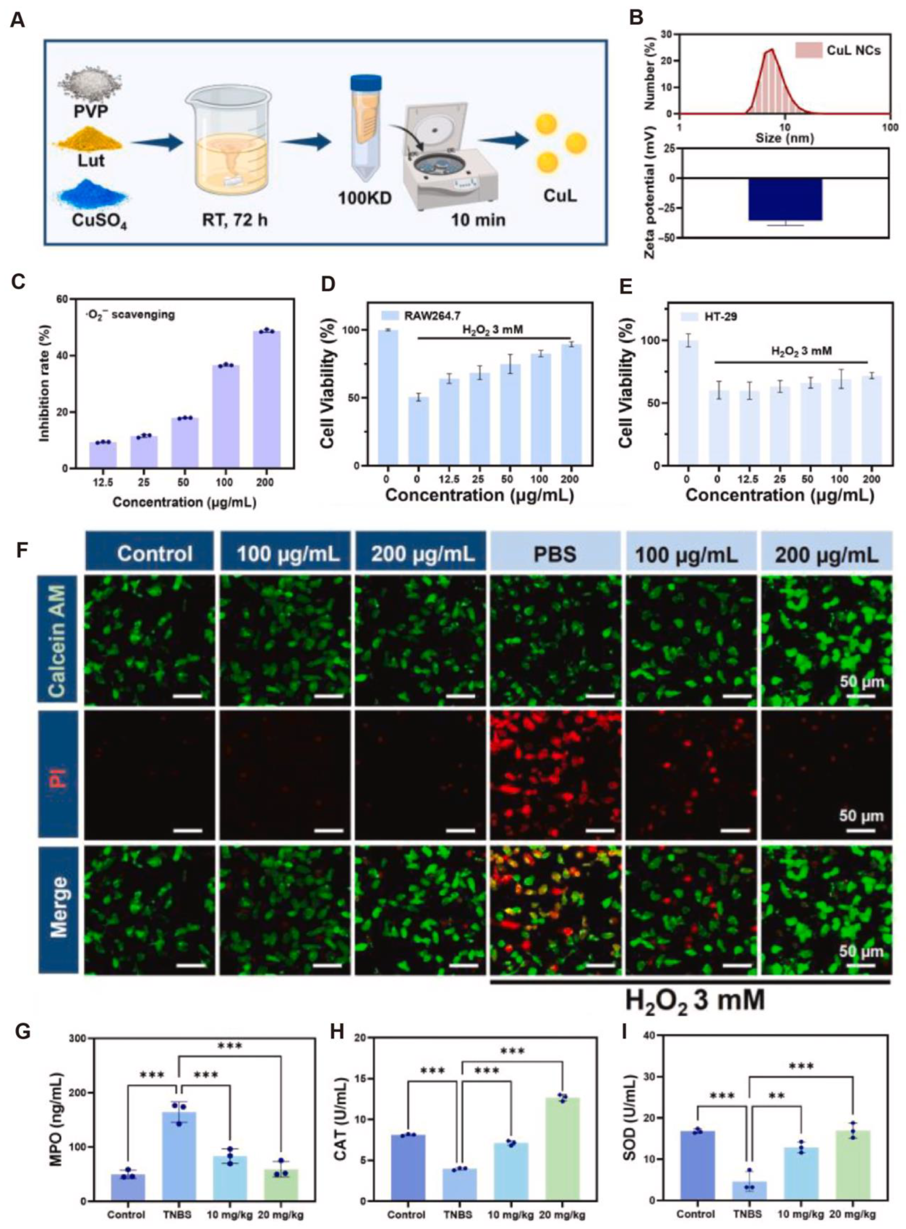 Antioxidants 14 01128 g007 Antioxidants 14 01128 g007