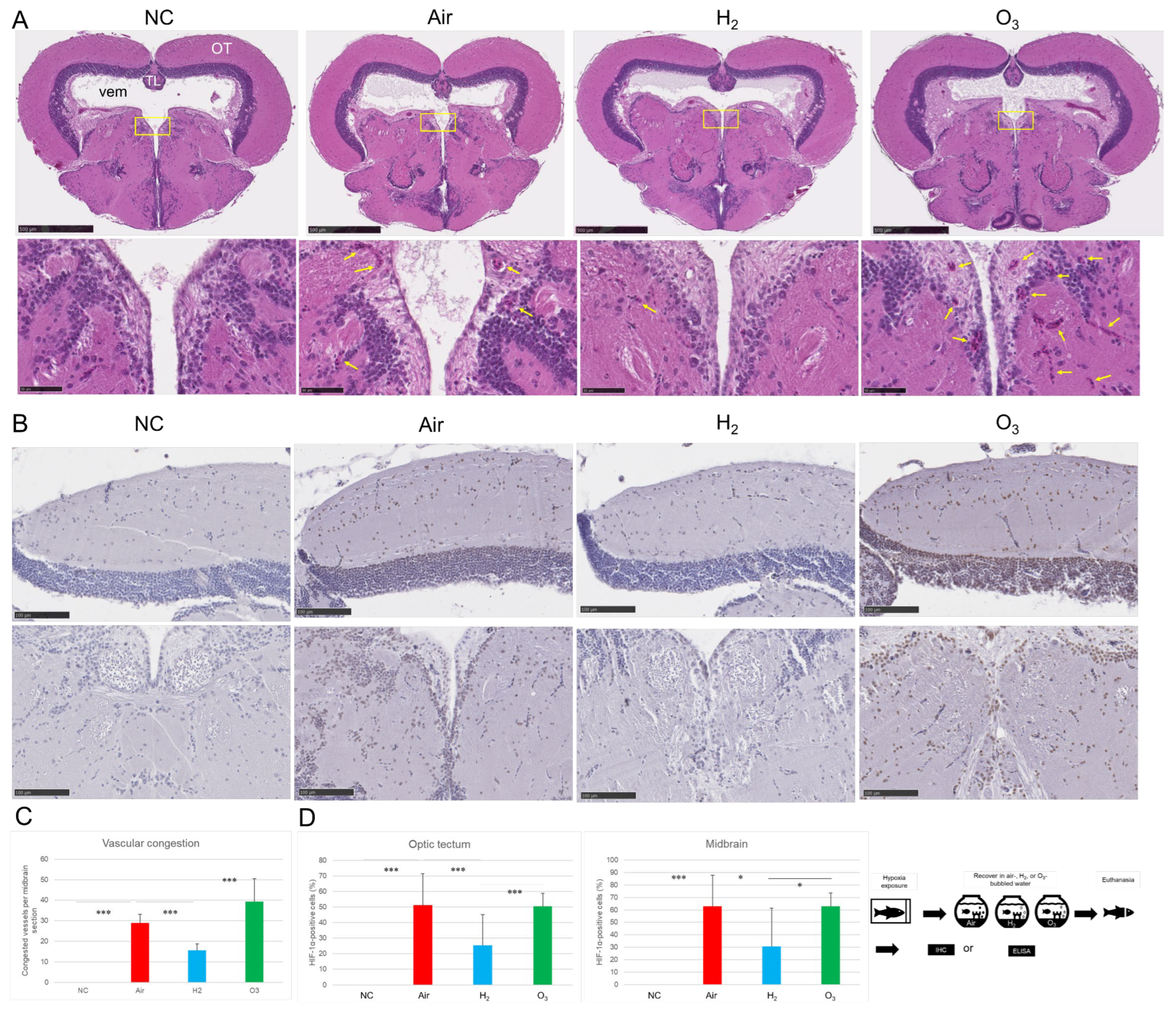 Antioxidants 14 01130 g003 Antioxidants 14 01130 g003