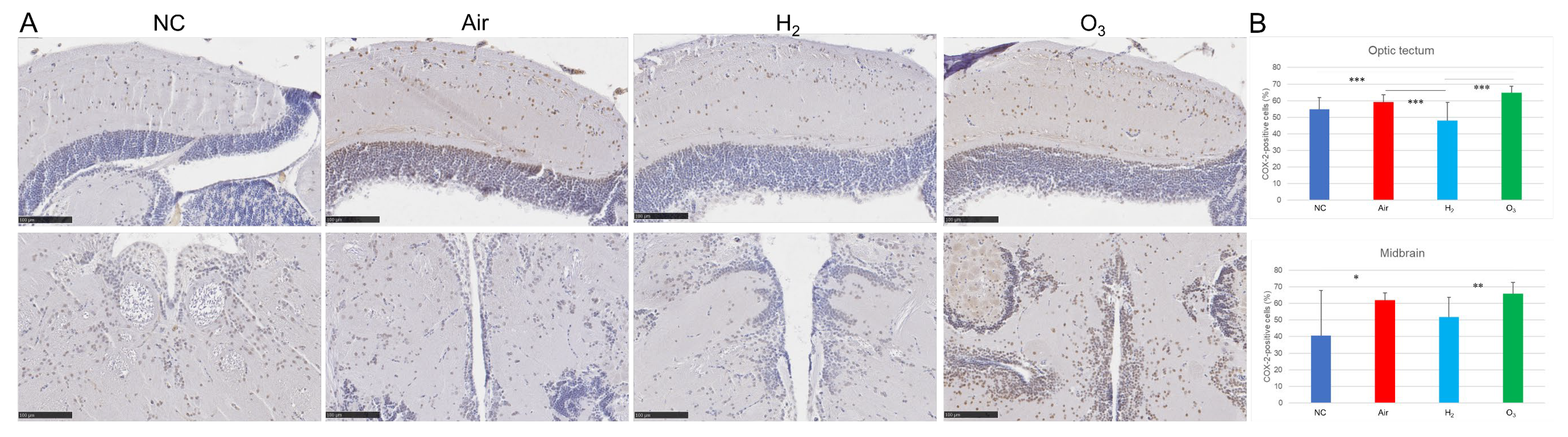 Antioxidants 14 01130 g006 Antioxidants 14 01130 g006