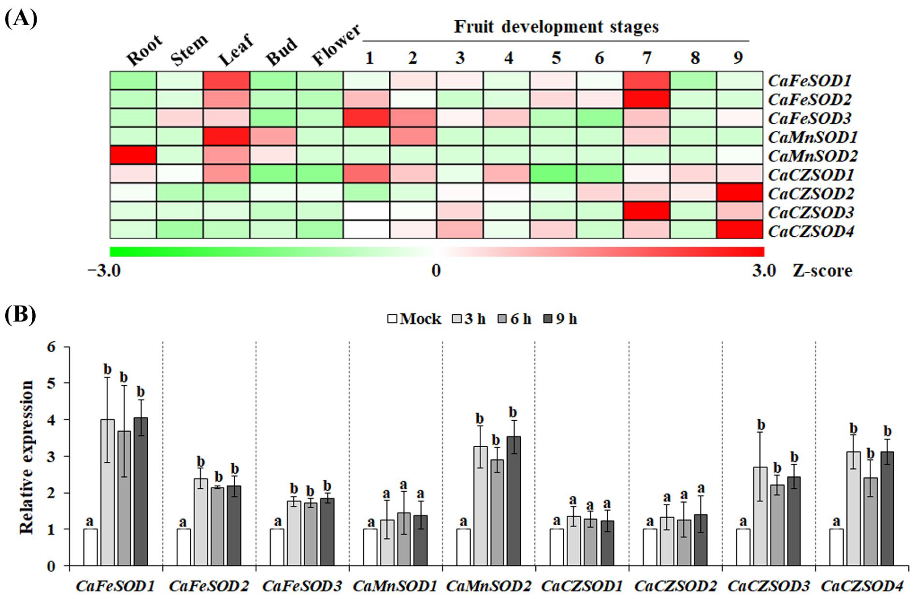 Antioxidants 14 01131 g003 Antioxidants 14 01131 g003