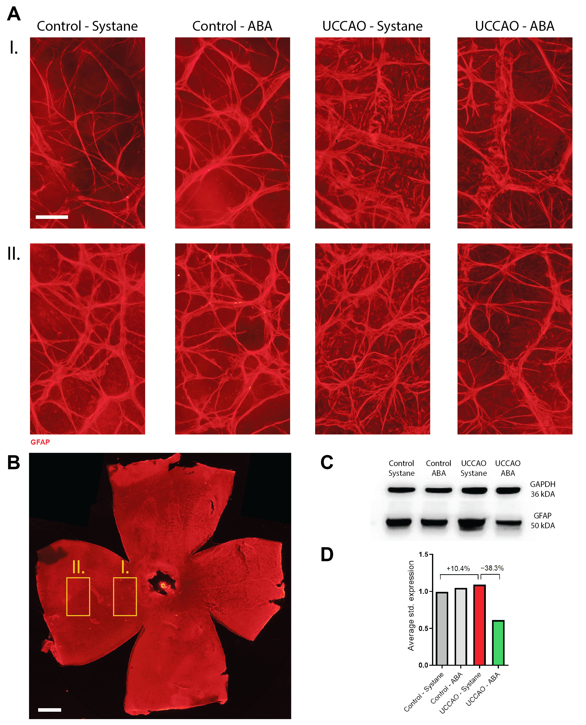 Antioxidants 14 01133 g005 Antioxidants 14 01133 g005