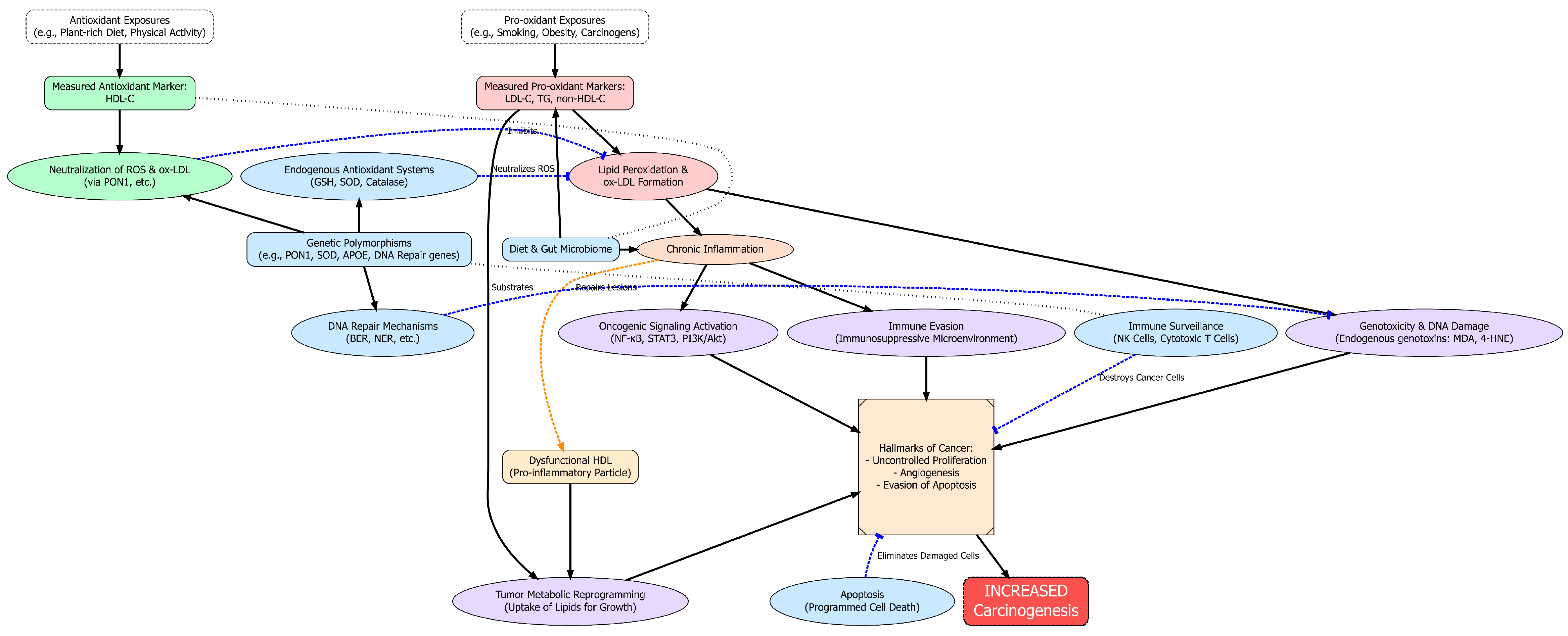 Antioxidants 14 01135 g001