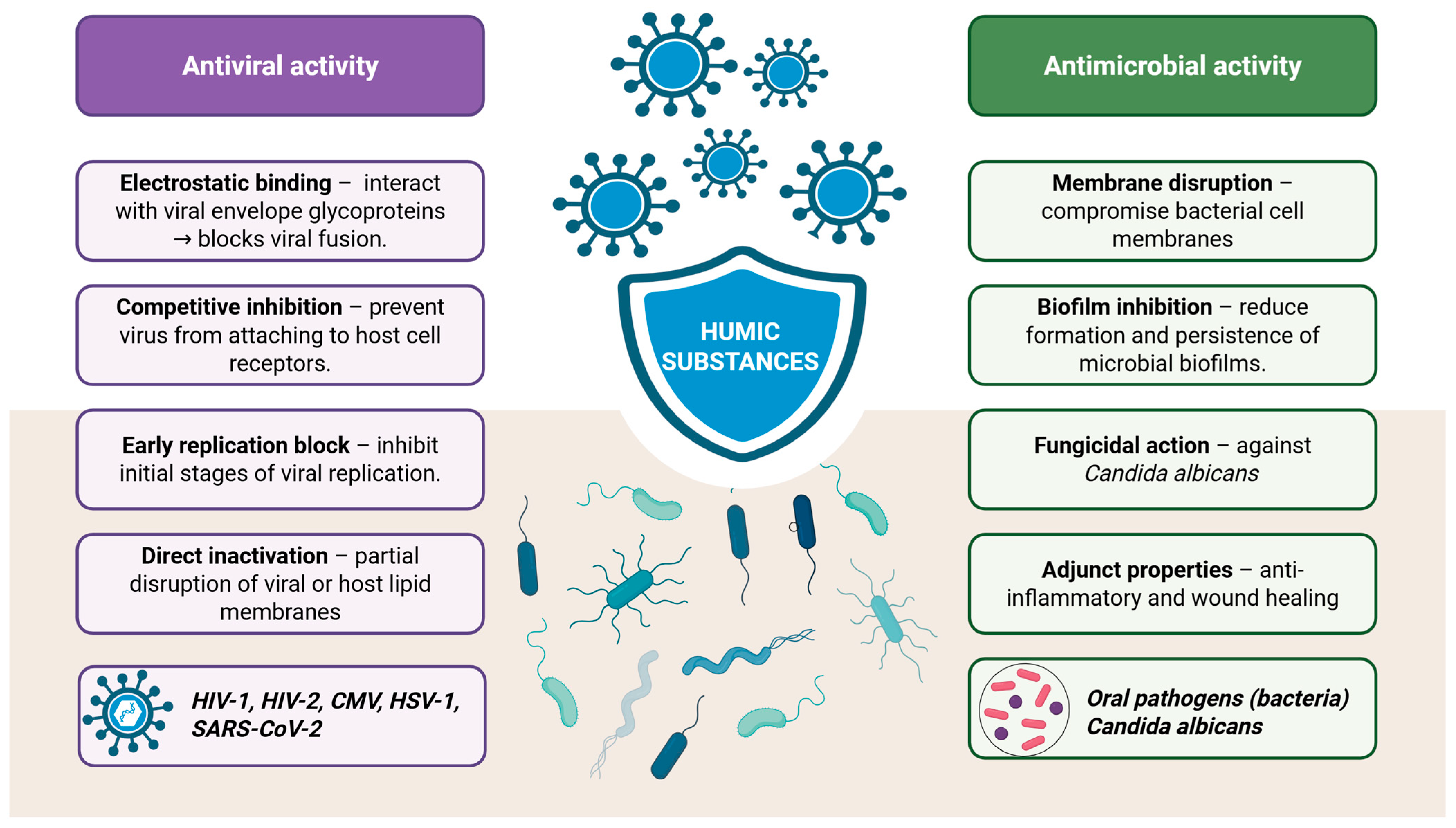 Antioxidants 14 01139 g005