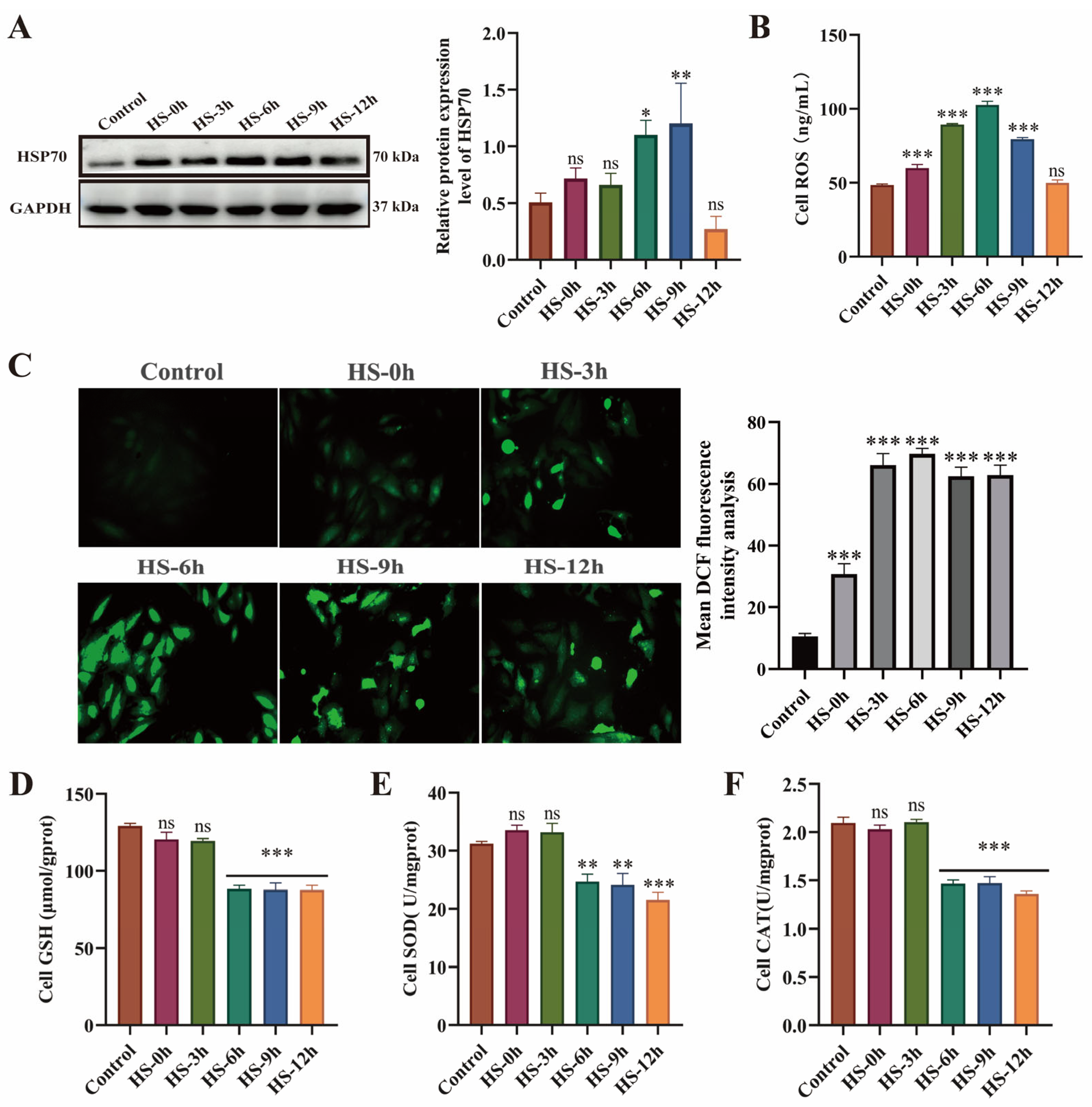 Antioxidants 14 01140 g002 Antioxidants 14 01140 g002