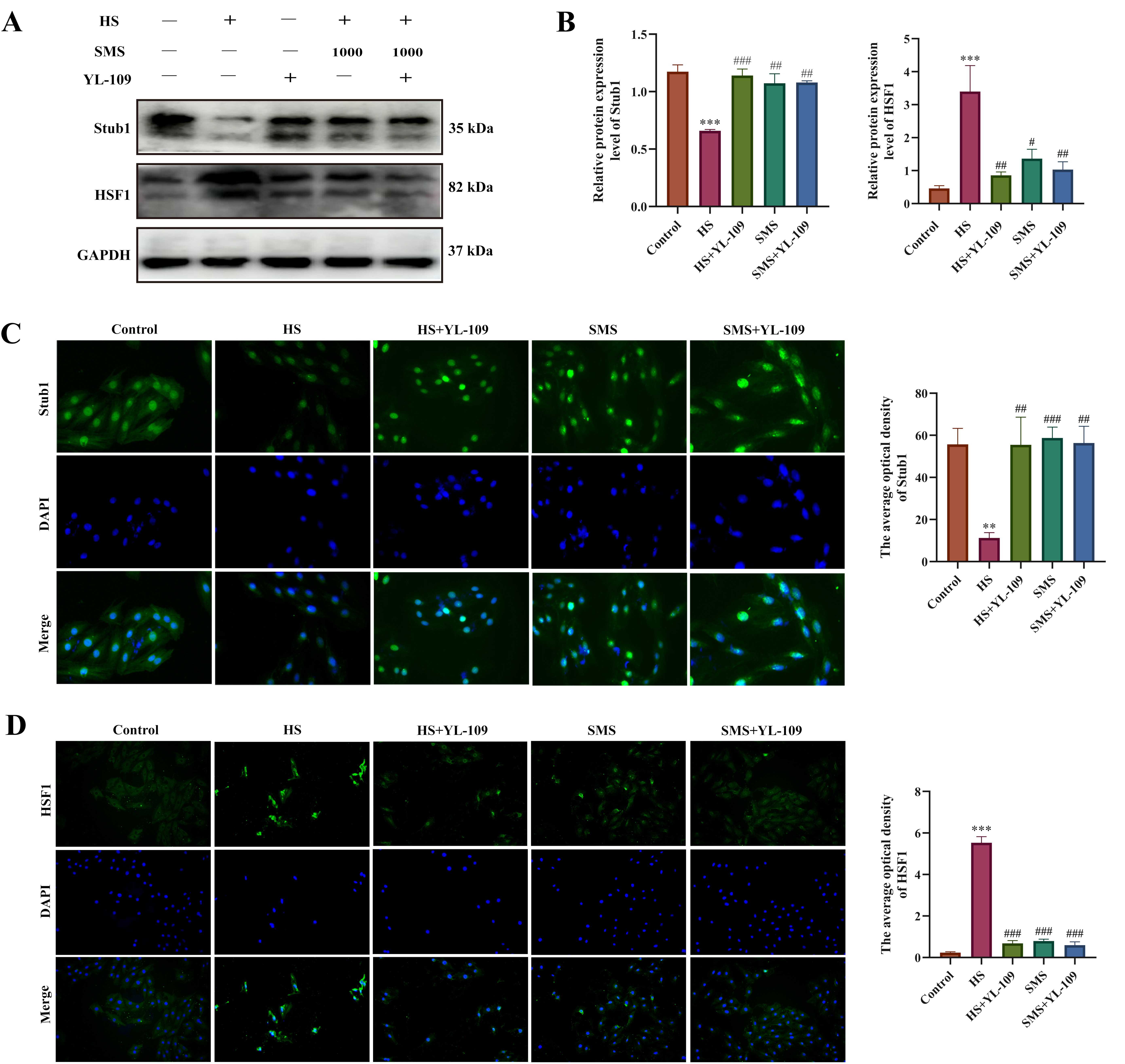 Antioxidants 14 01140 g005 Antioxidants 14 01140 g005
