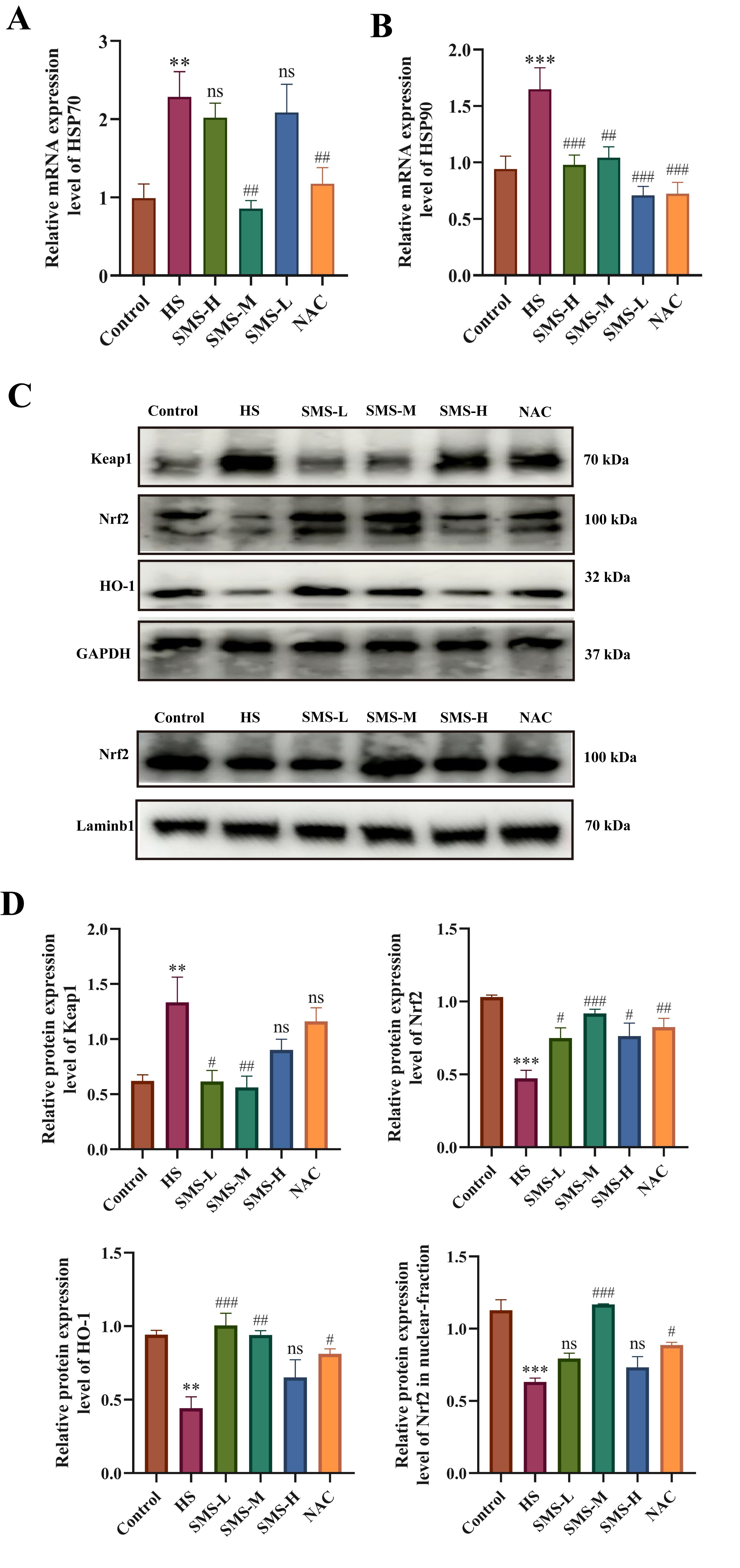 Antioxidants 14 01140 g006 Antioxidants 14 01140 g006