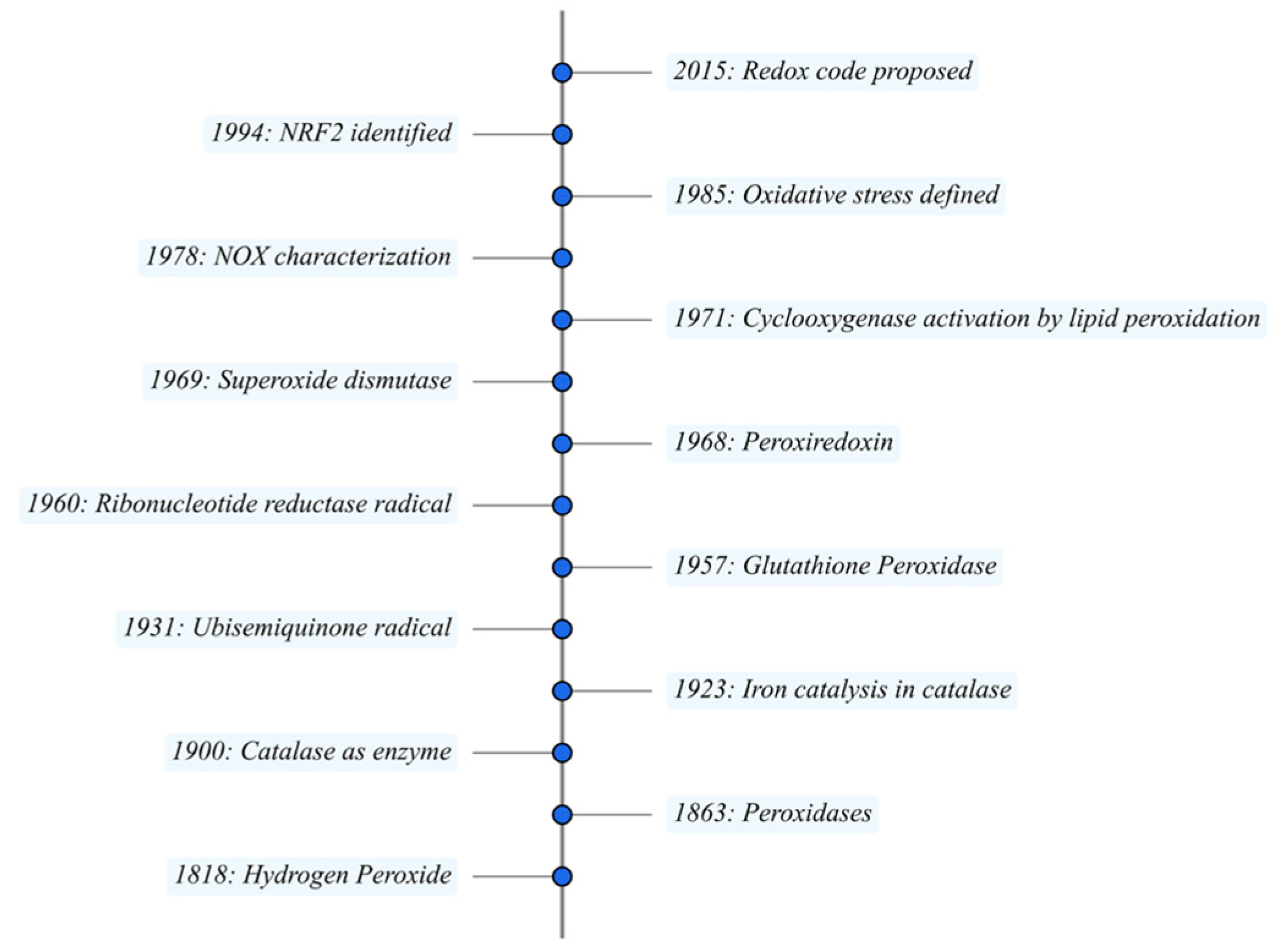 Antioxidants 14 01142 g001 Antioxidants 14 01142 g001