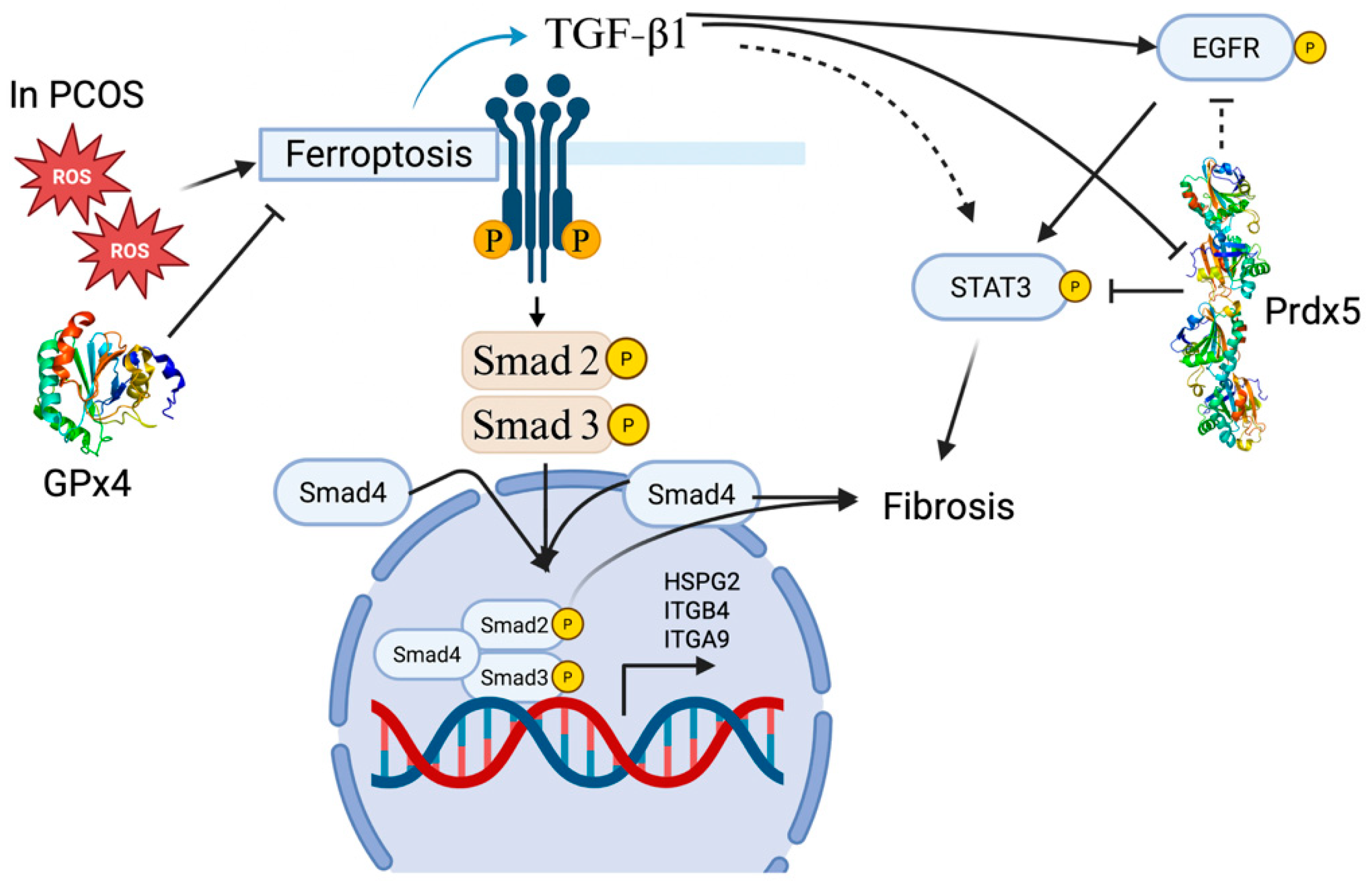 Antioxidants 14 01142 g004 Antioxidants 14 01142 g004