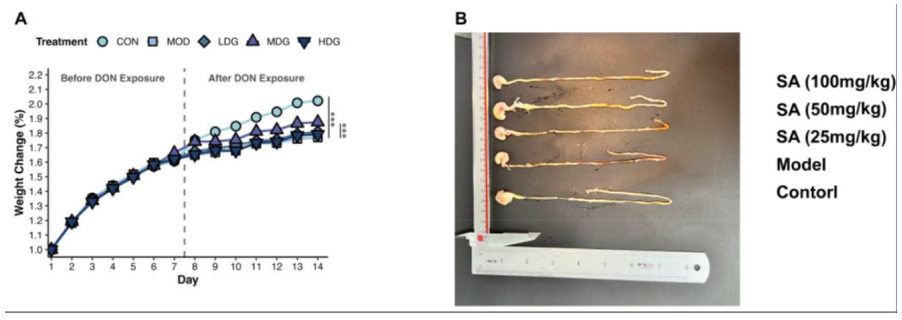 Antioxidants 14 01145 g001 Antioxidants 14 01145 g001
