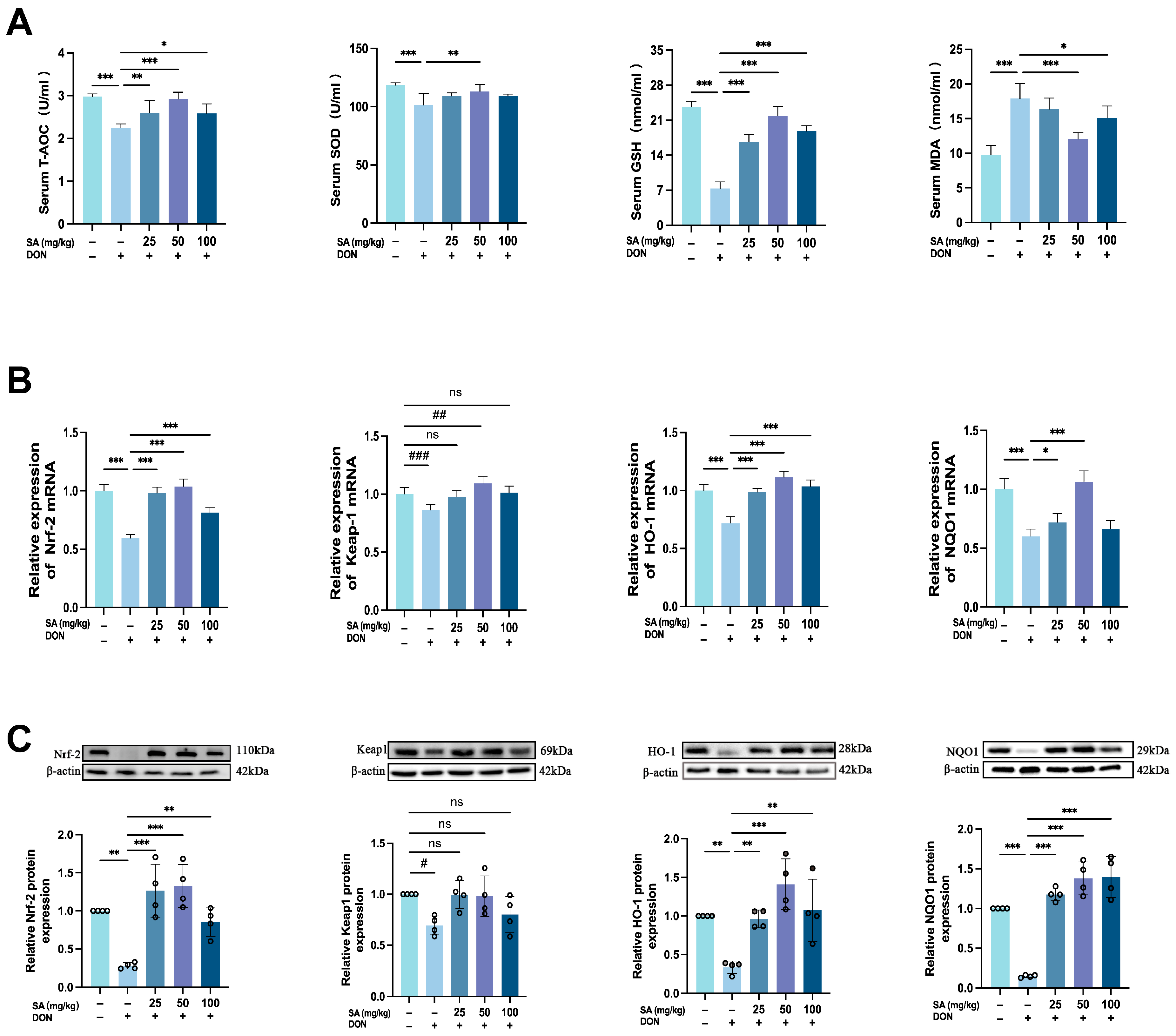 Antioxidants 14 01145 g004 Antioxidants 14 01145 g004
