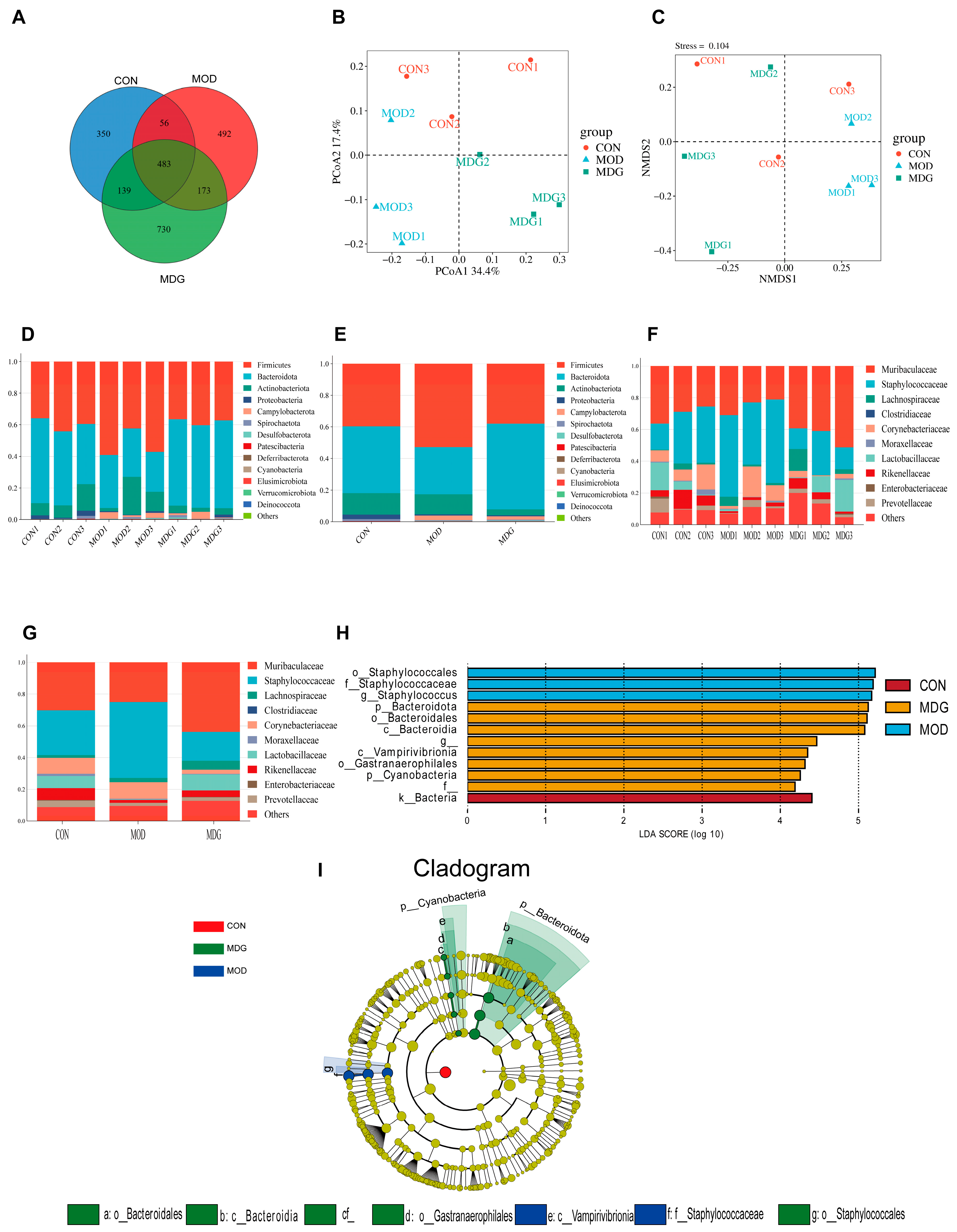 Antioxidants 14 01145 g005 Antioxidants 14 01145 g005