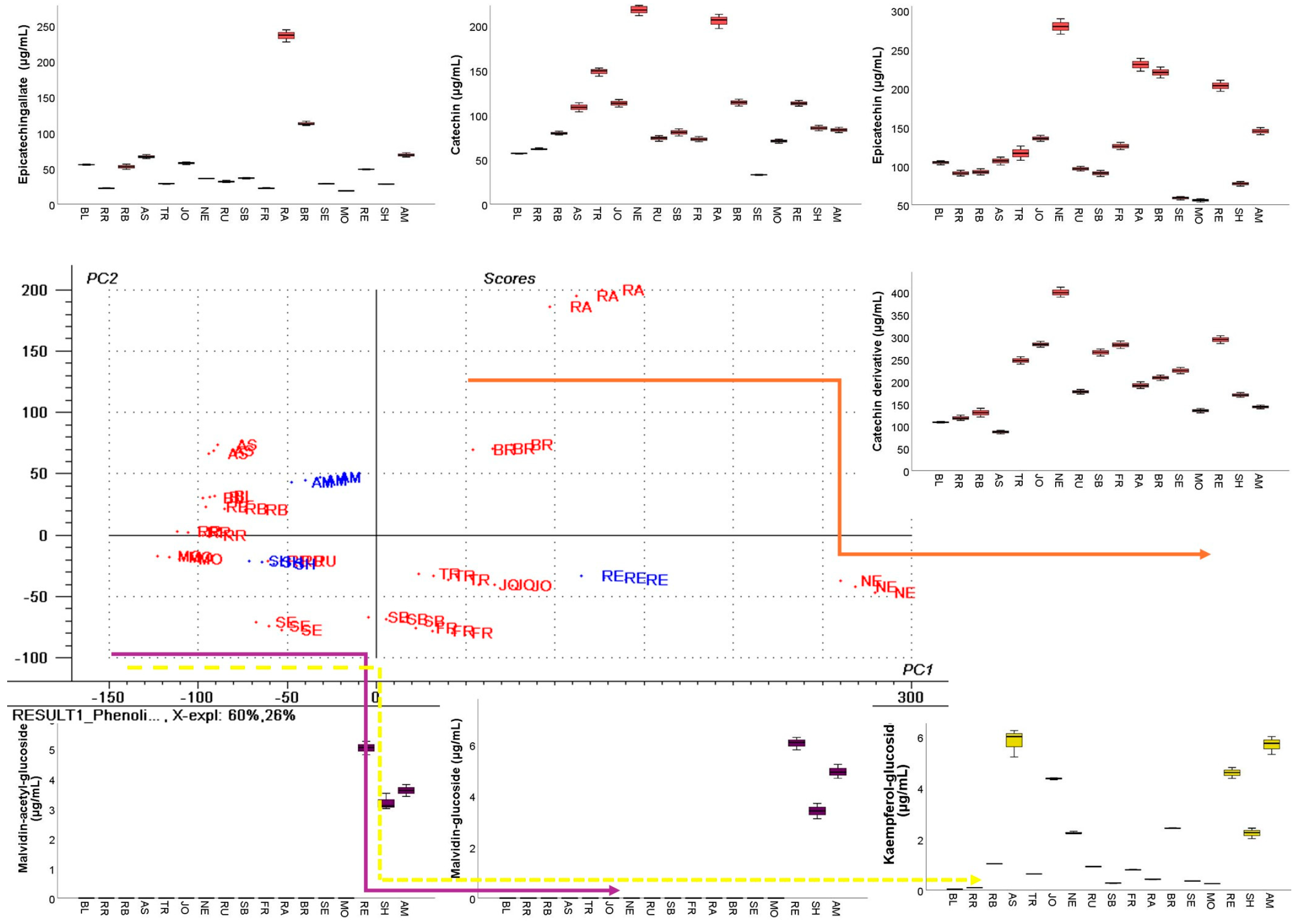 Antioxidants 14 01152 g003
