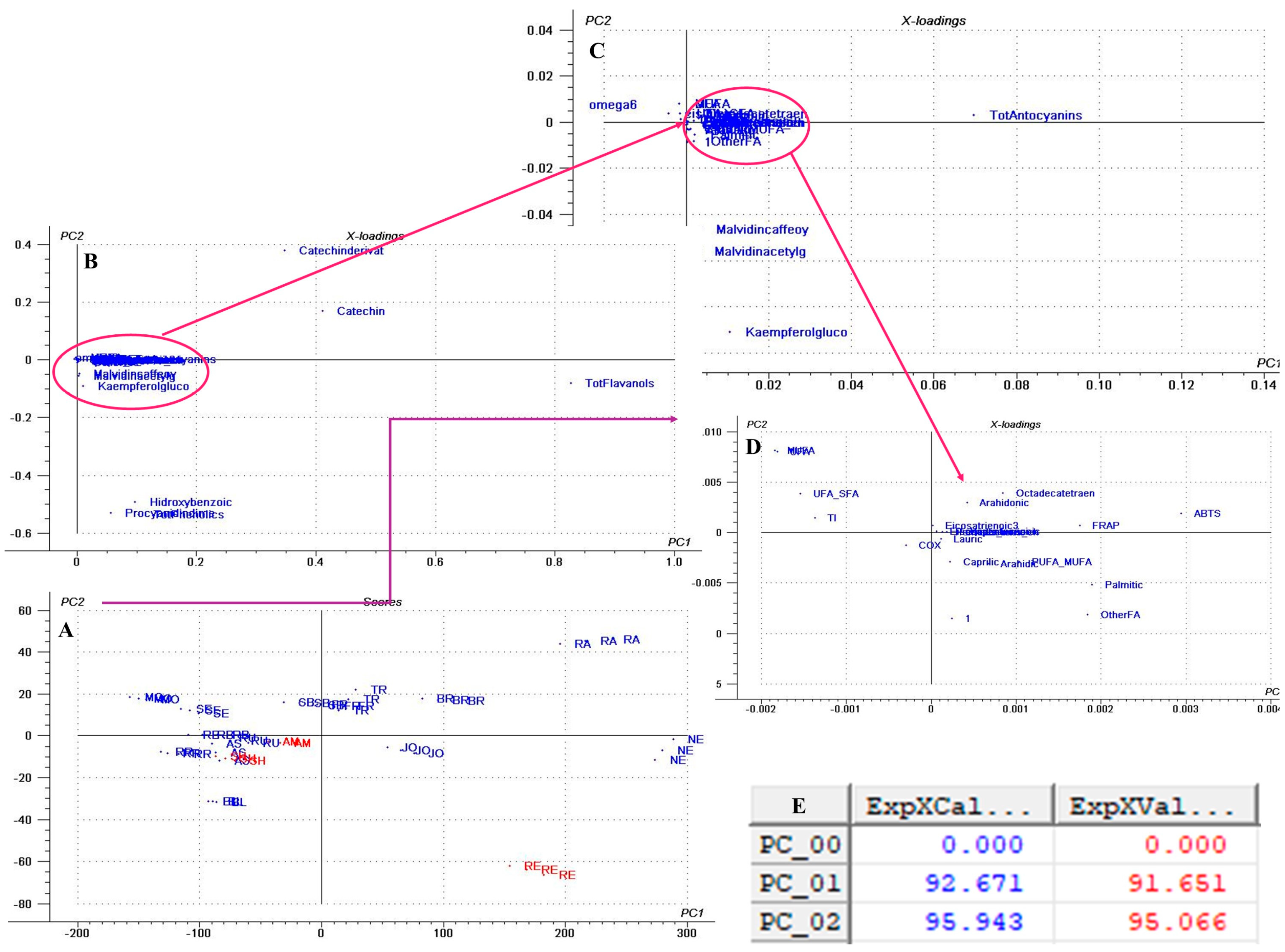 Antioxidants 14 01152 g008