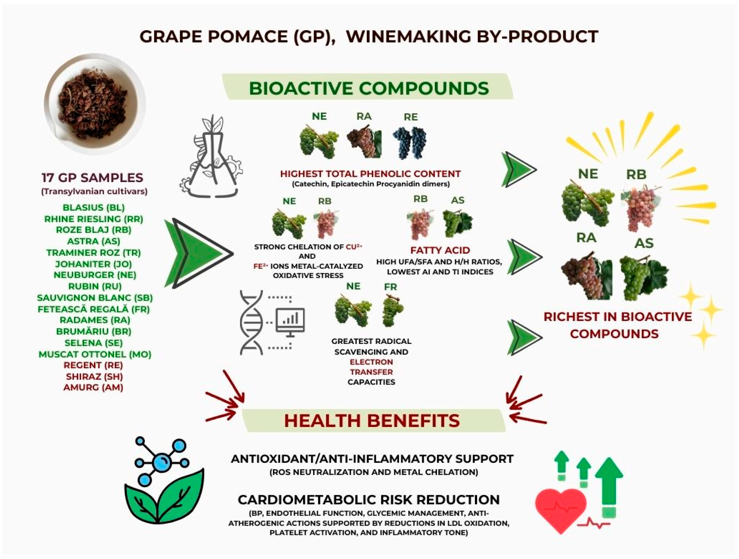 Antioxidants 14 01152 g011