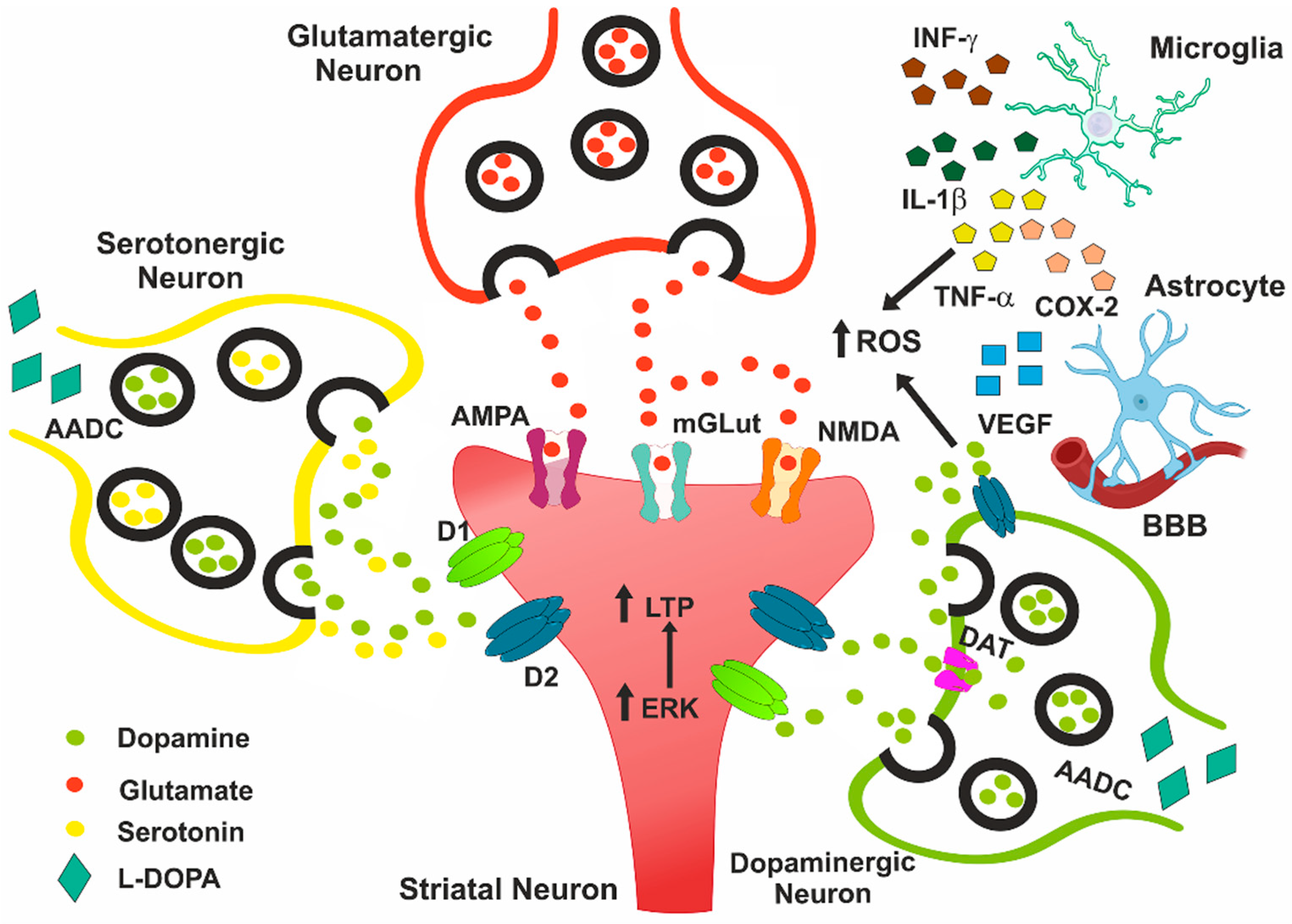 Antioxidants 14 01154 g001