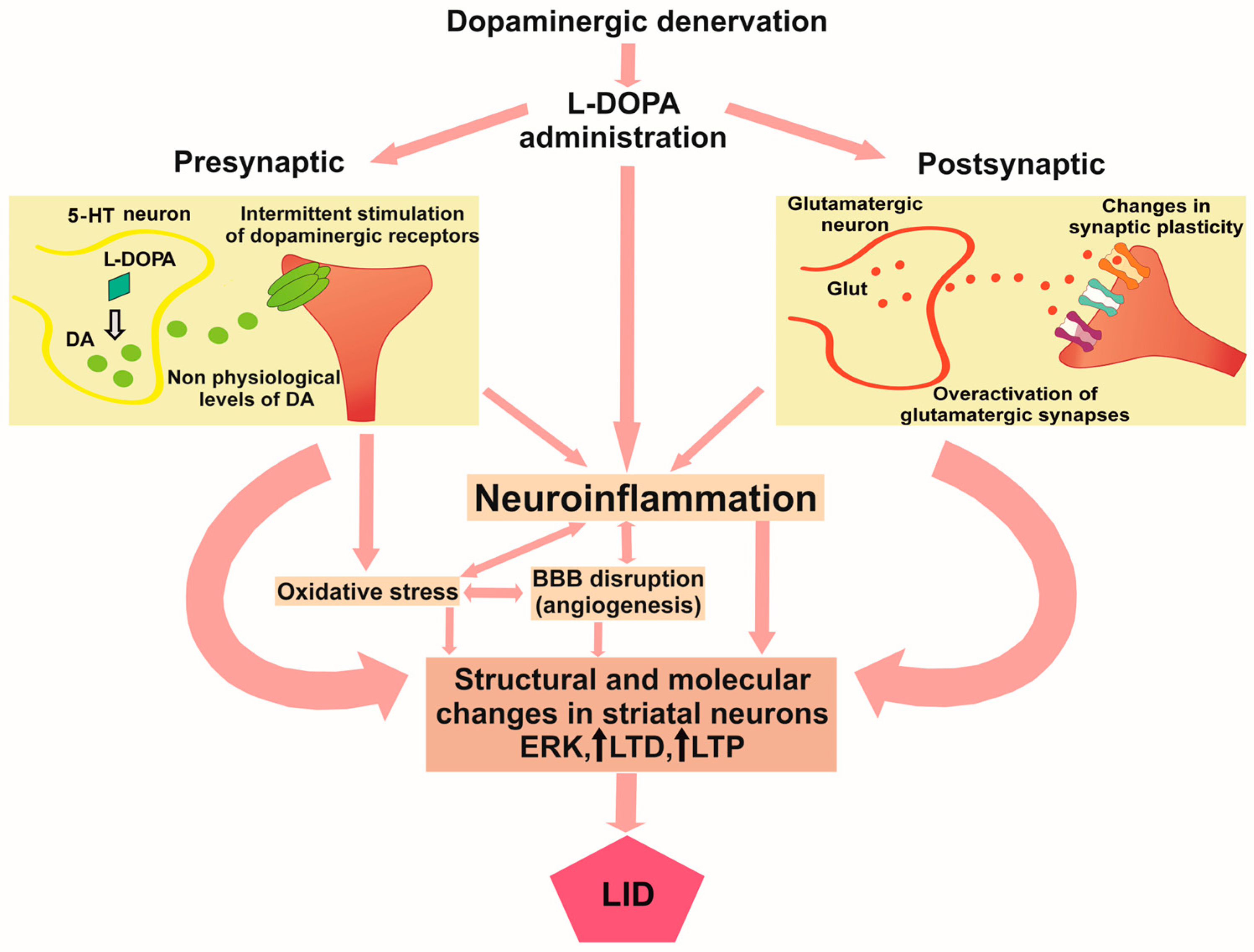 Antioxidants 14 01154 g002