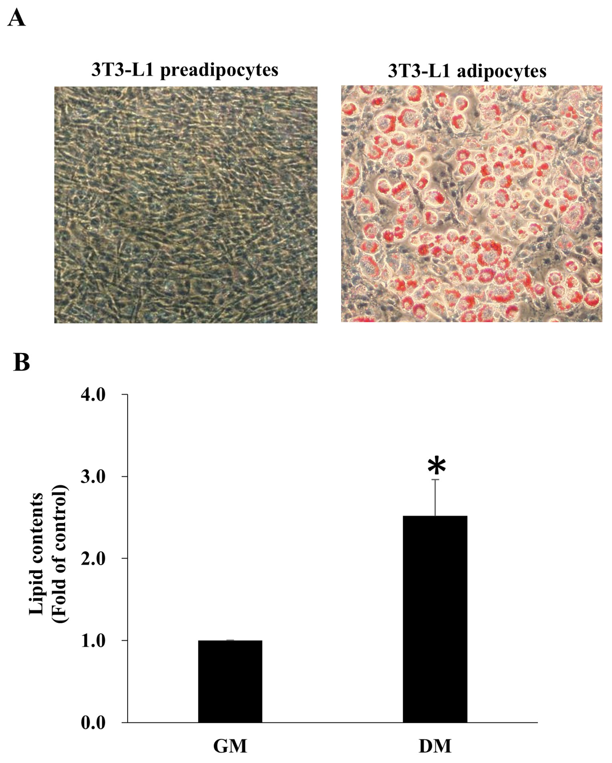 Antioxidants 14 01155 g002