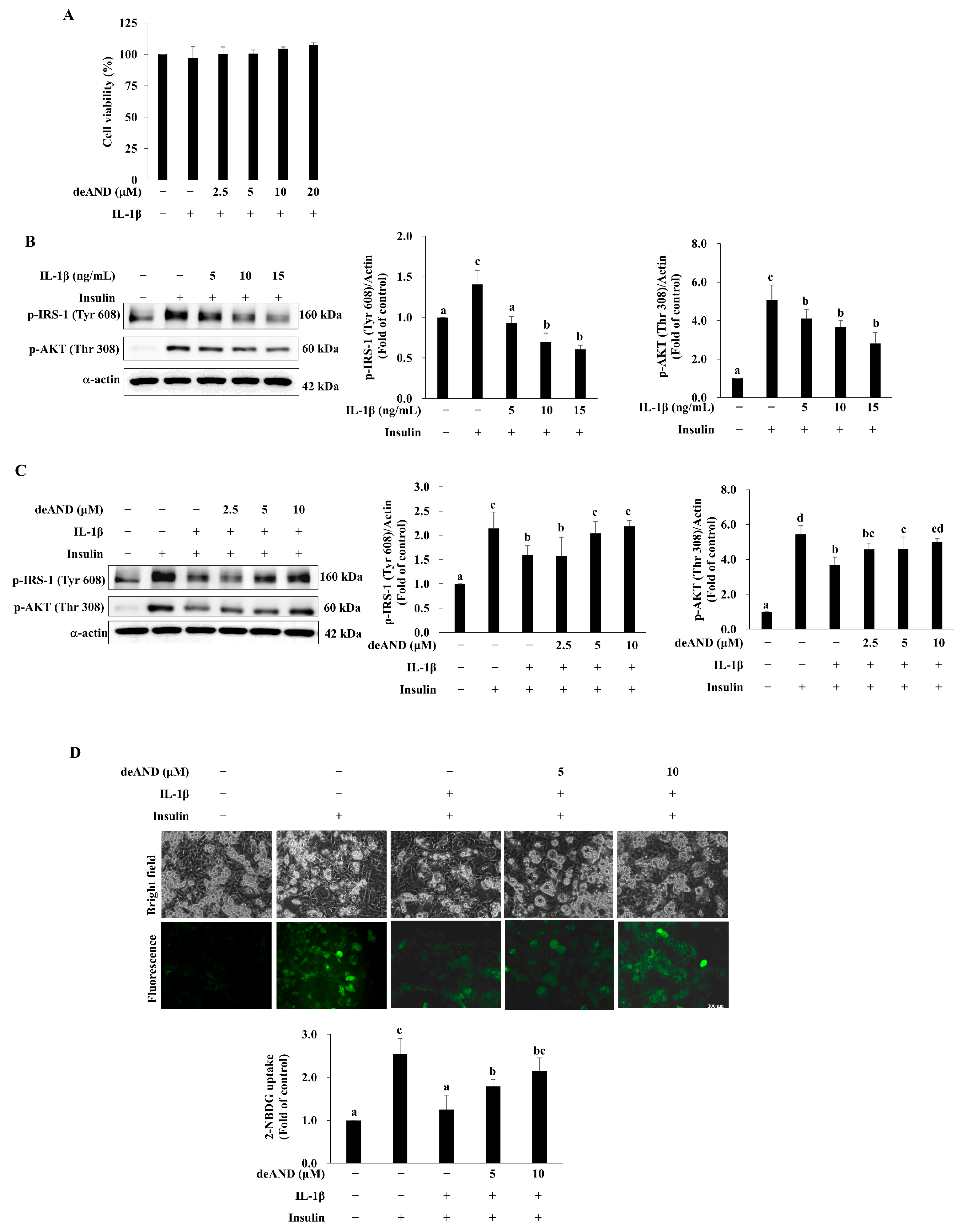 Antioxidants 14 01155 g003