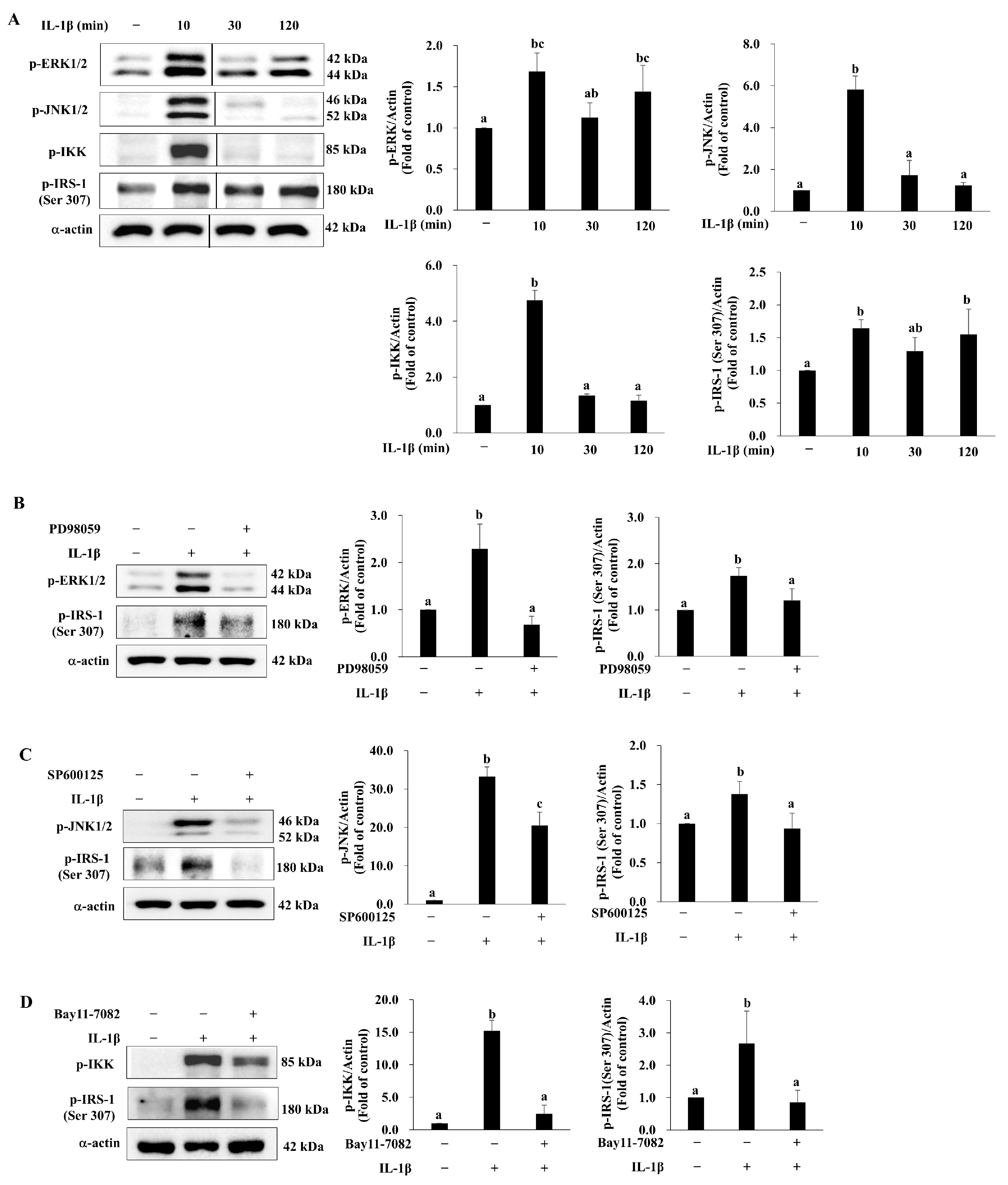 Antioxidants 14 01155 g004