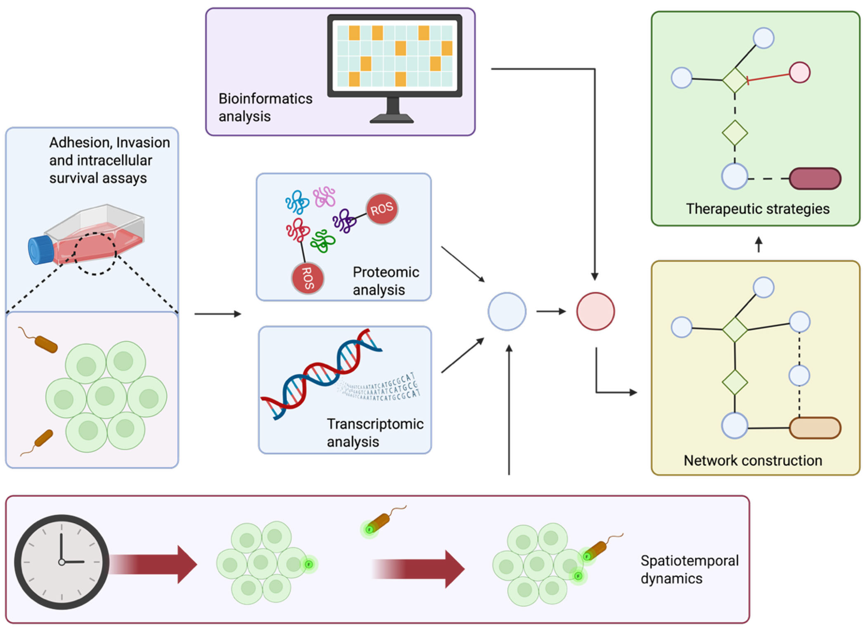 Antioxidants 14 01156 g003 Antioxidants 14 01156 g003