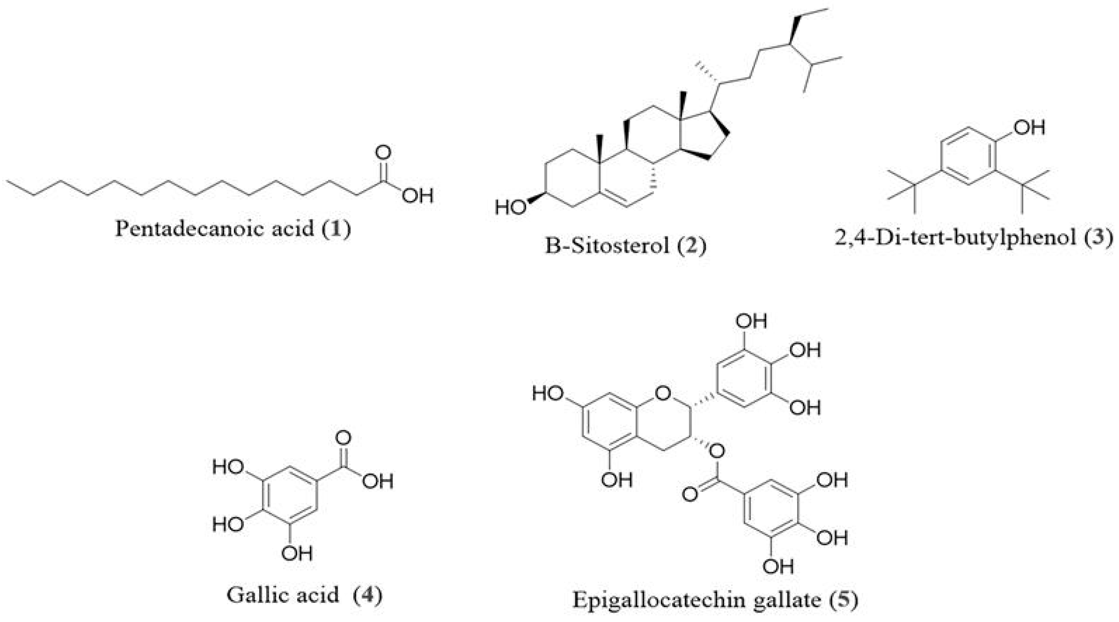Antioxidants 14 01161 g001 Antioxidants 14 01161 g001