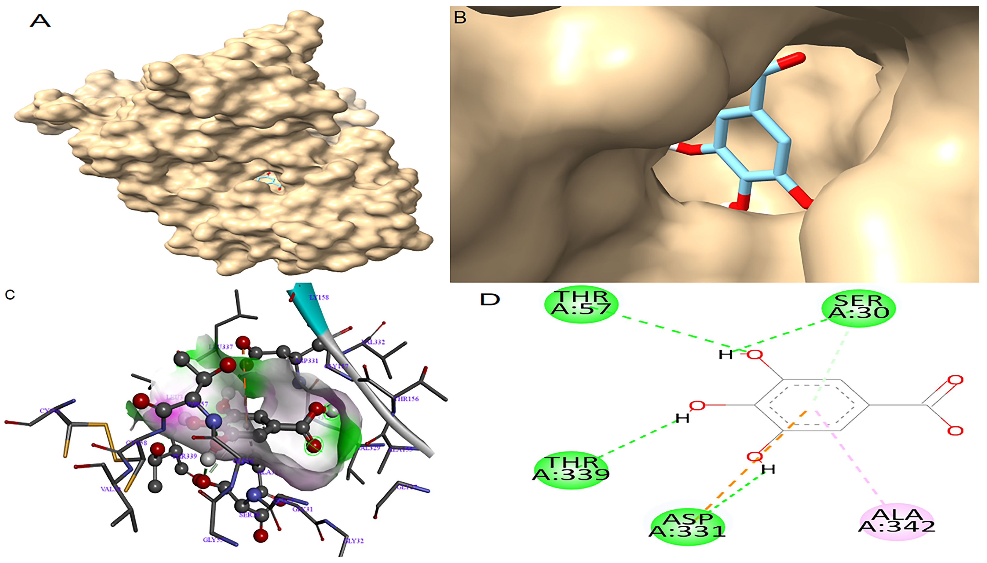 Antioxidants 14 01161 g003 Antioxidants 14 01161 g003