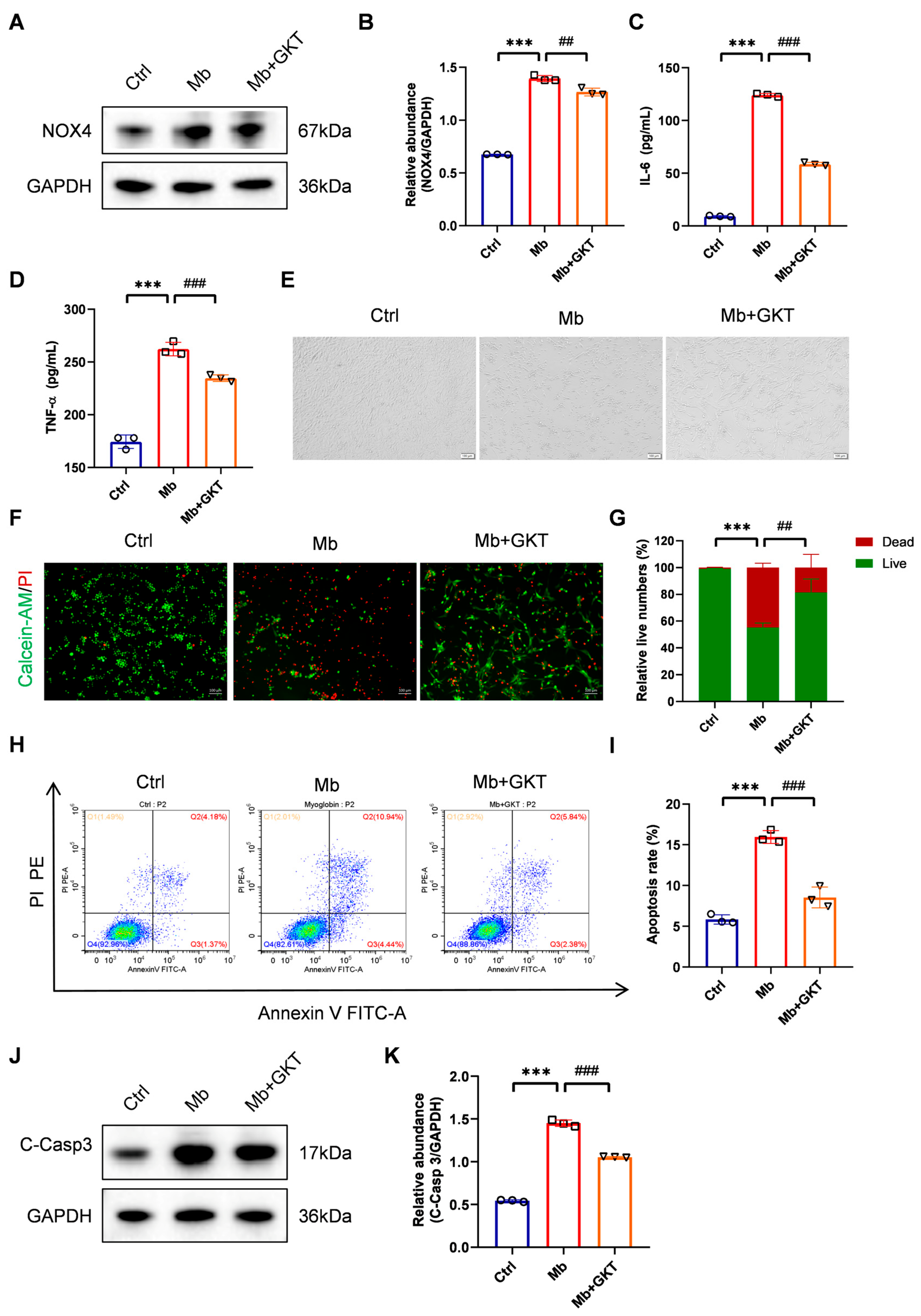 Antioxidants 14 01162 g007