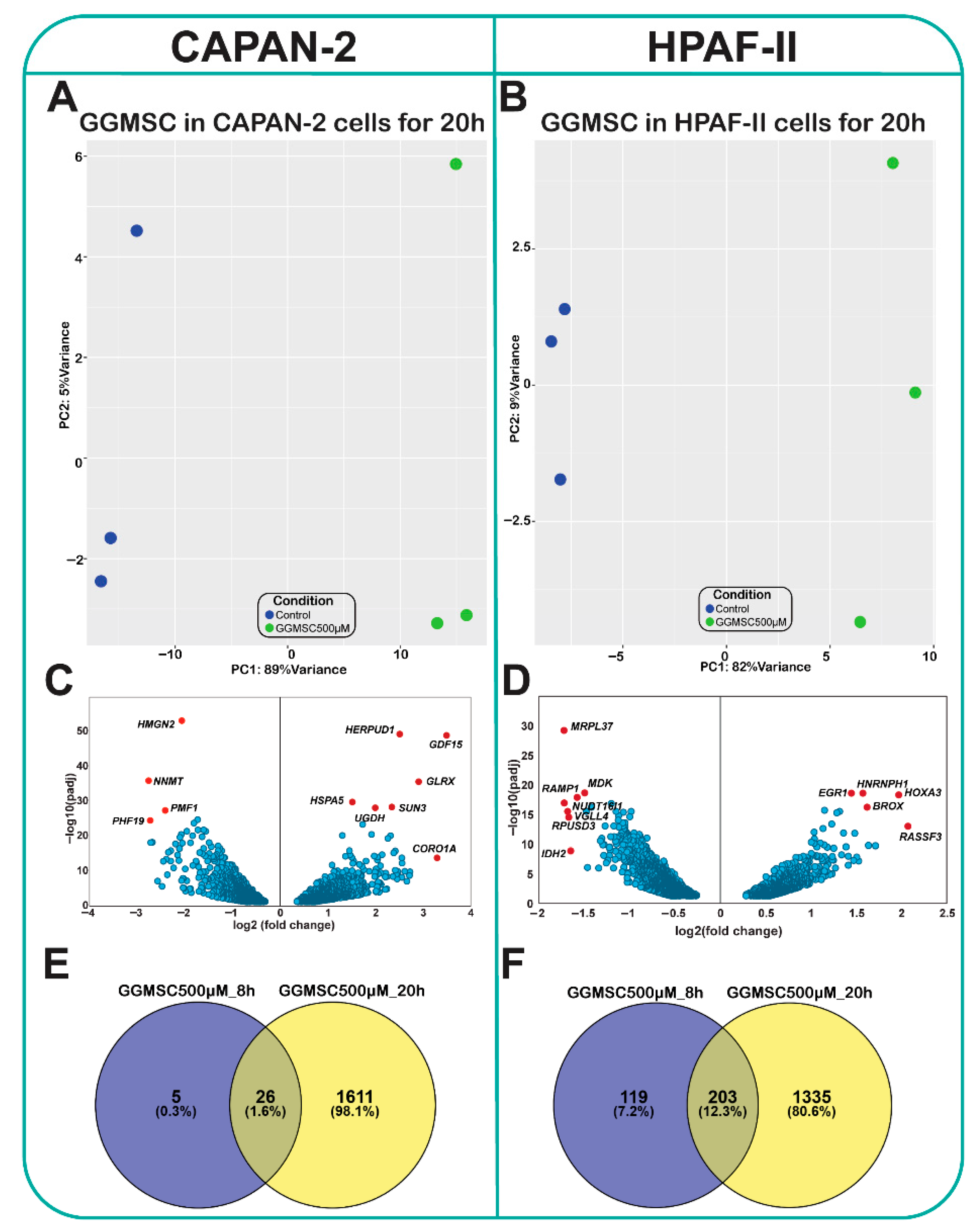 Antioxidants 14 01163 g001 Antioxidants 14 01163 g001