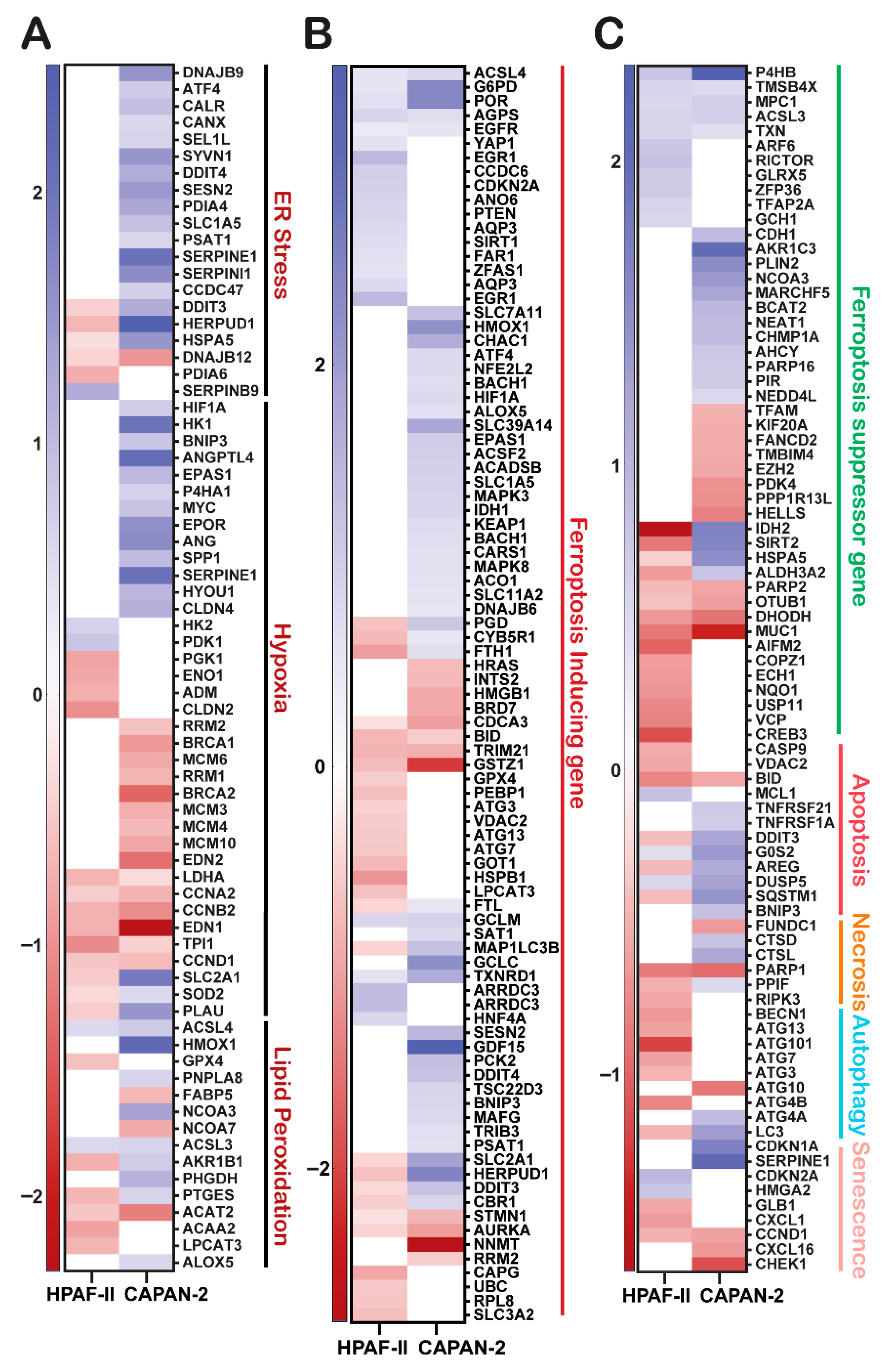 Antioxidants 14 01163 g003 Antioxidants 14 01163 g003