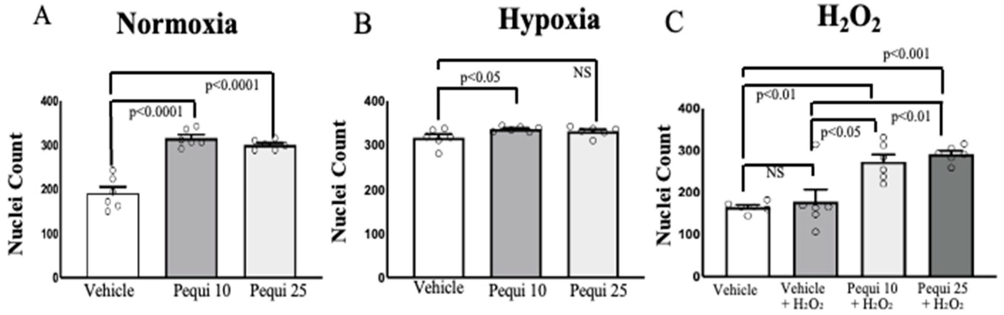 Antioxidants 14 01167 g001 Antioxidants 14 01167 g001