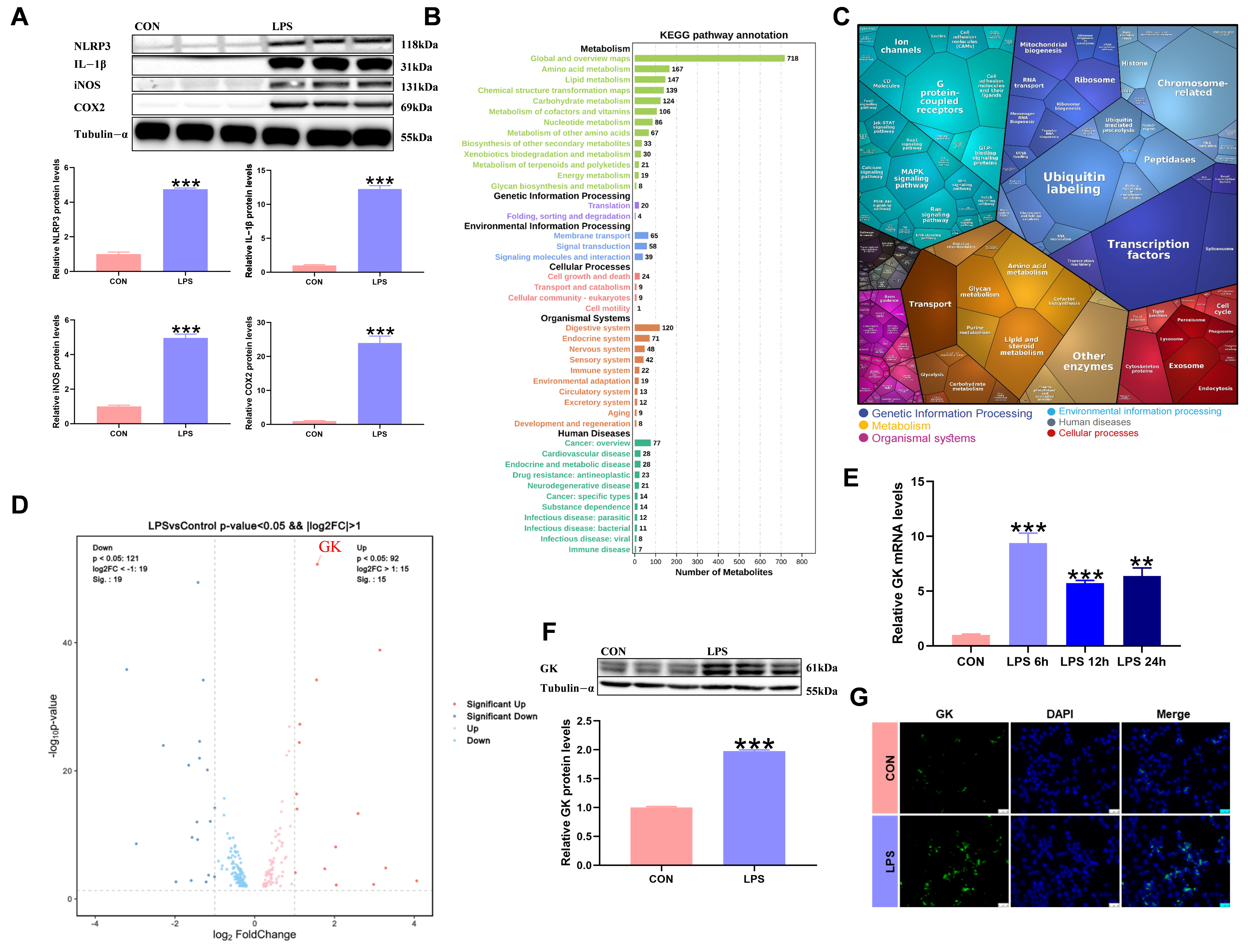 スローリー J&L Ceramic&Carbon Oversized Derailleur Cage+Pulleys Wheel