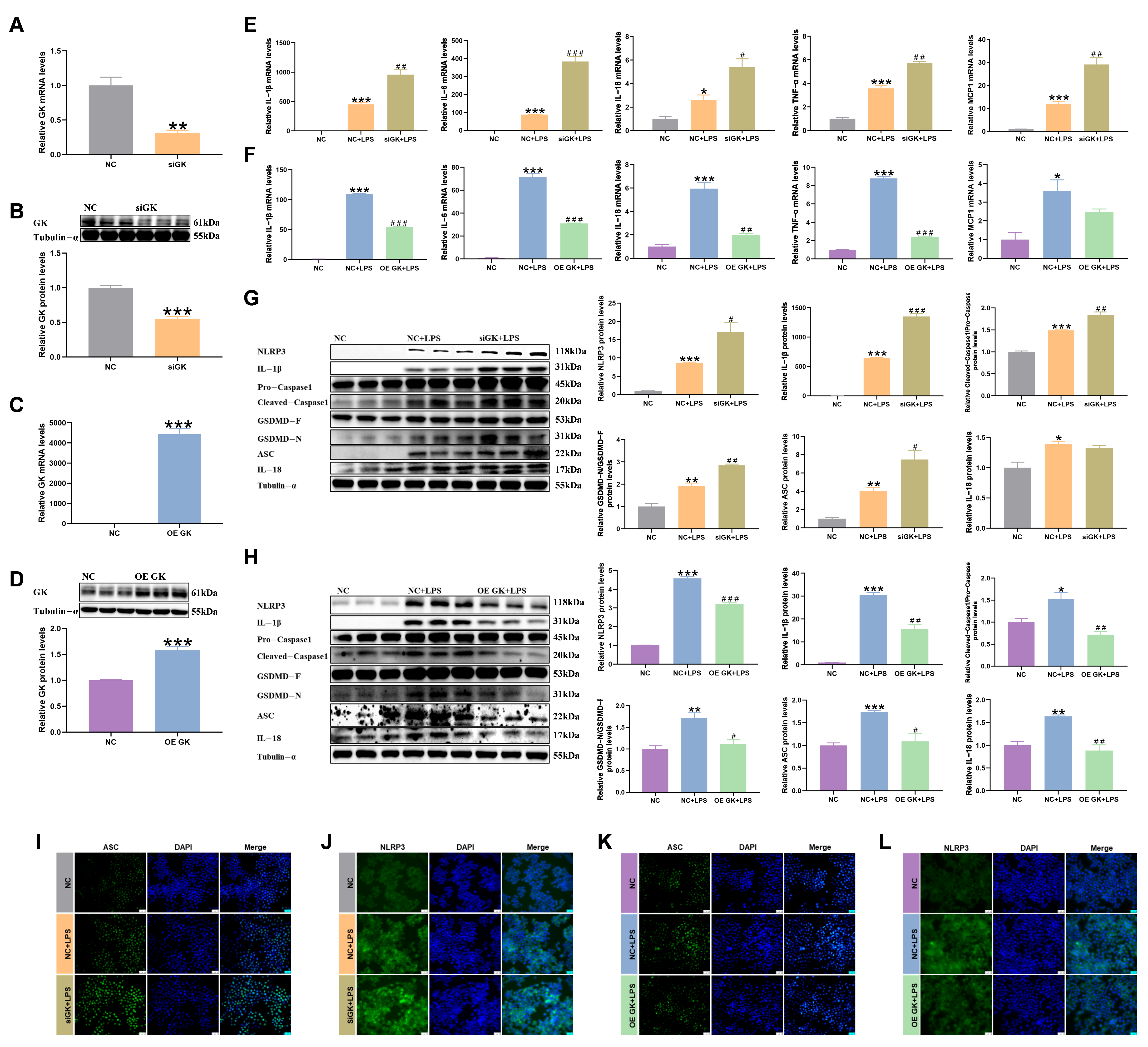 Antioxidants 14 01174 g002 Antioxidants 14 01174 g002