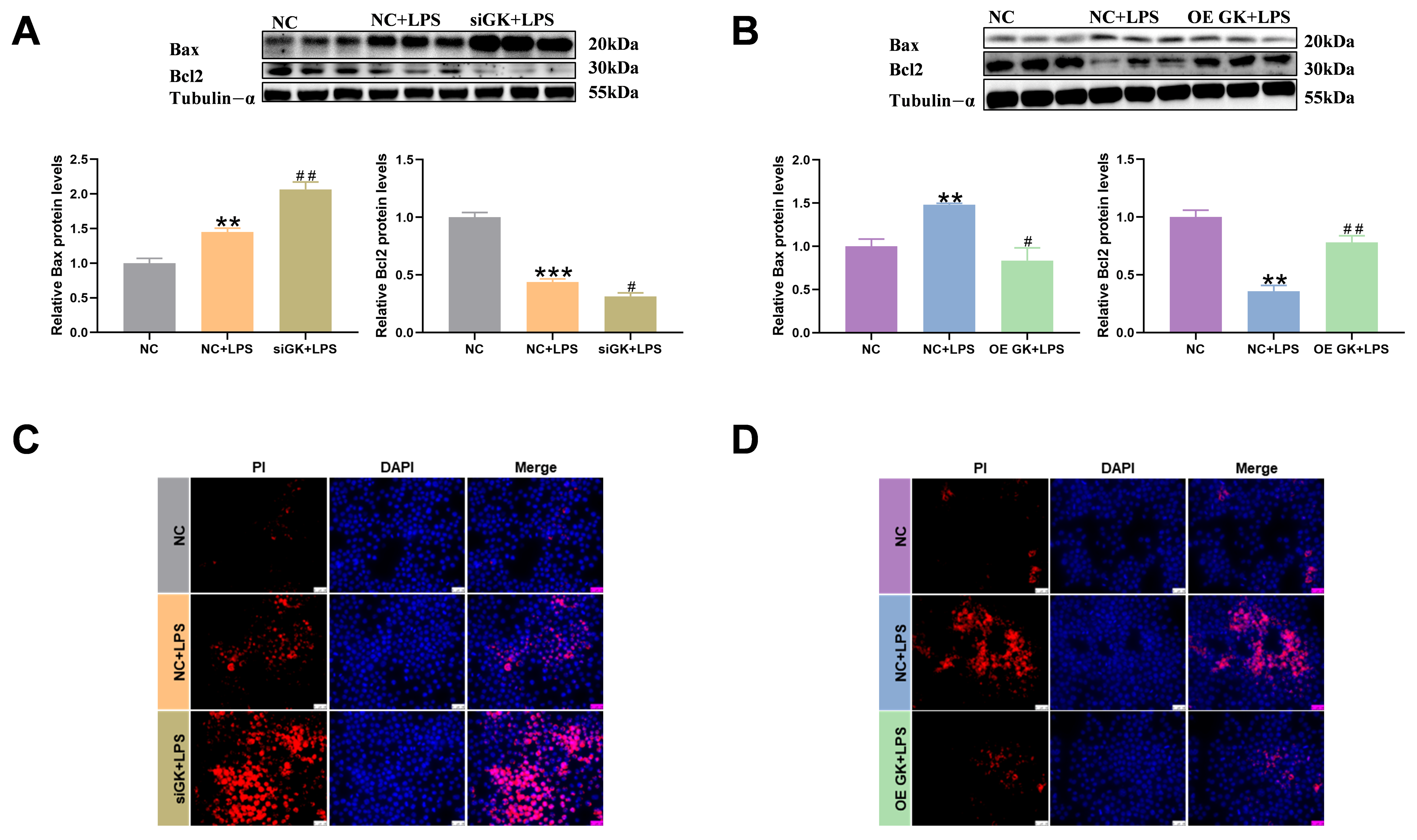 Antioxidants 14 01174 g004 Antioxidants 14 01174 g004
