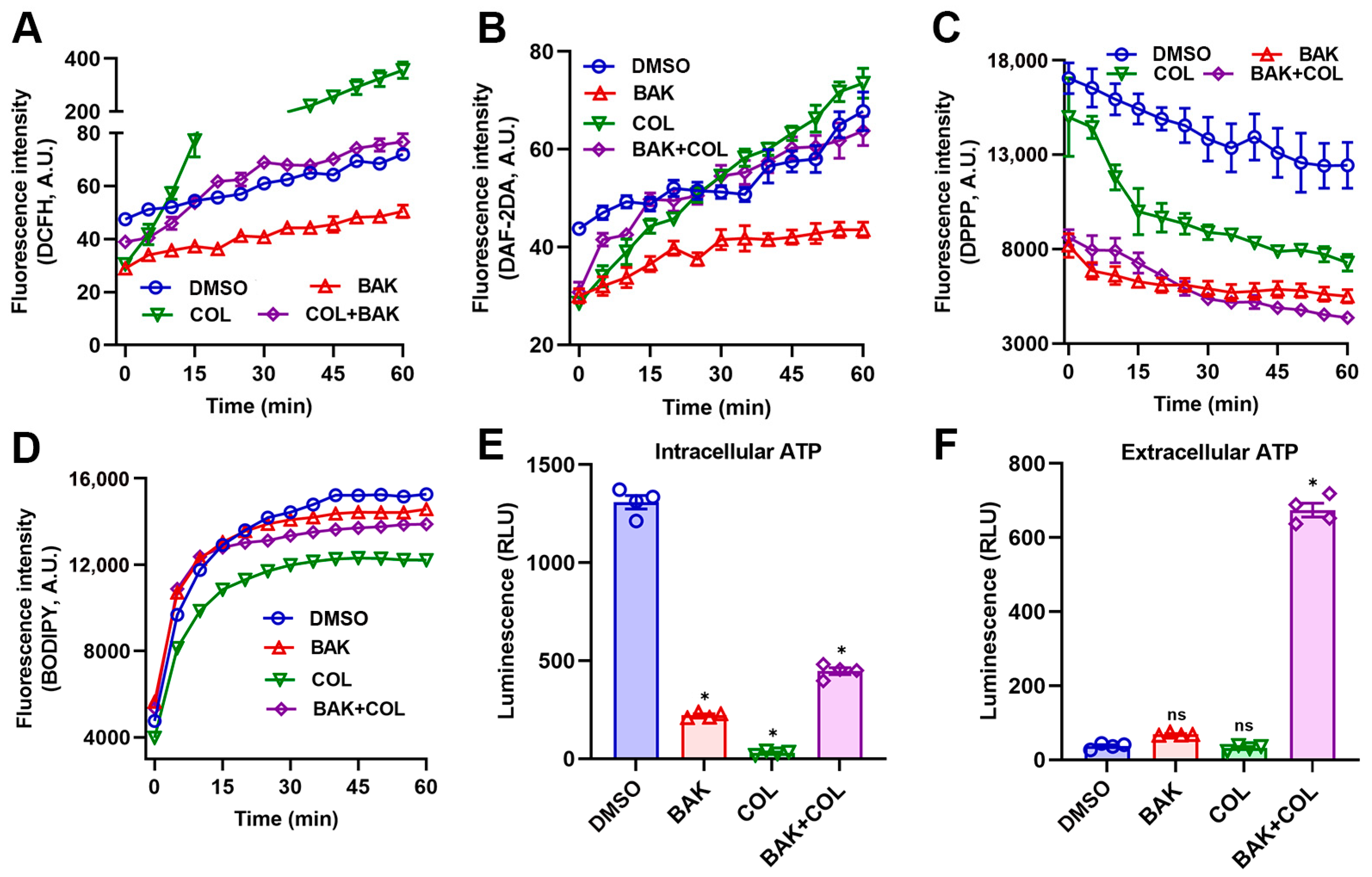 Antioxidants 14 01178 g002