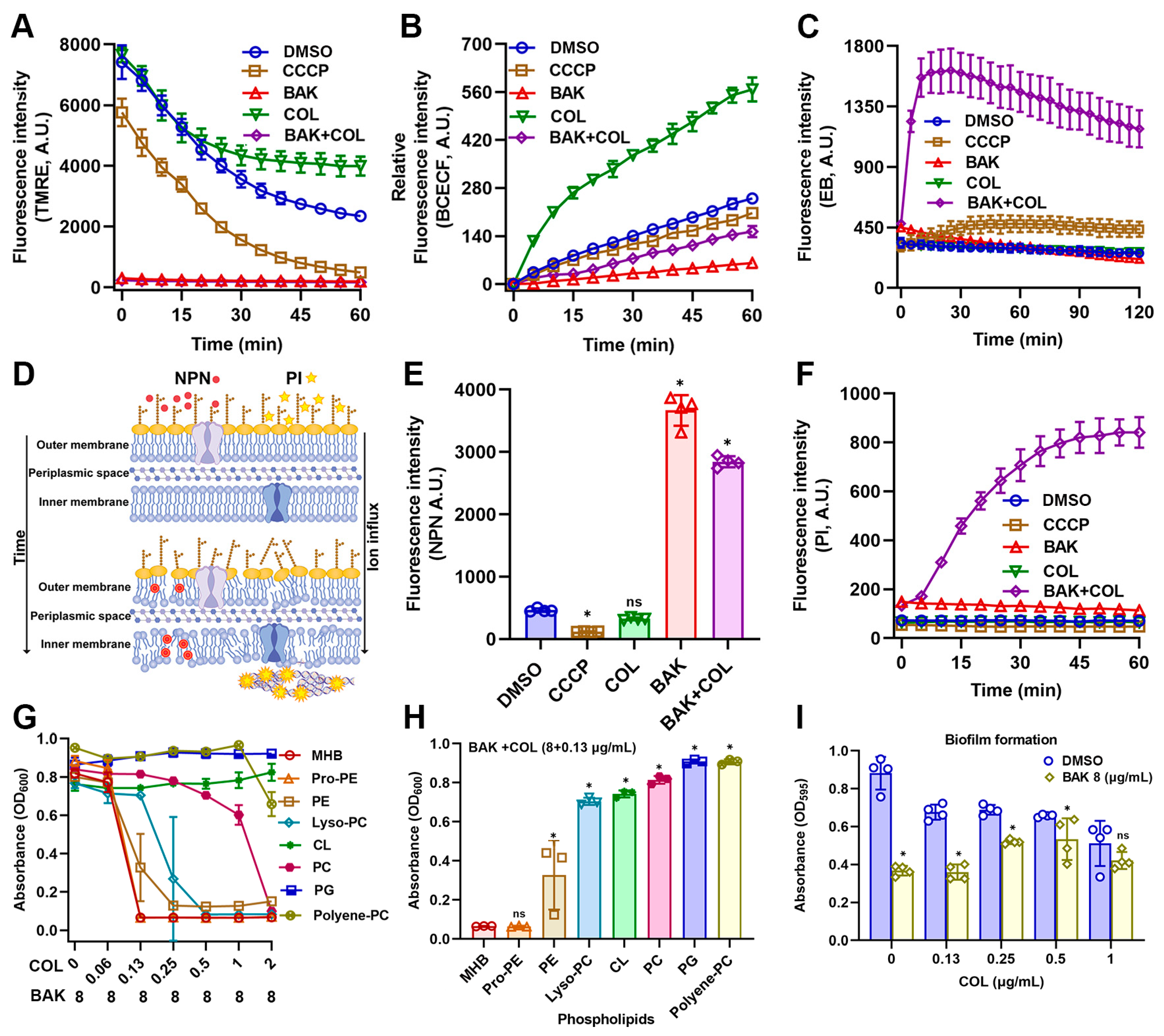 Antioxidants 14 01178 g003