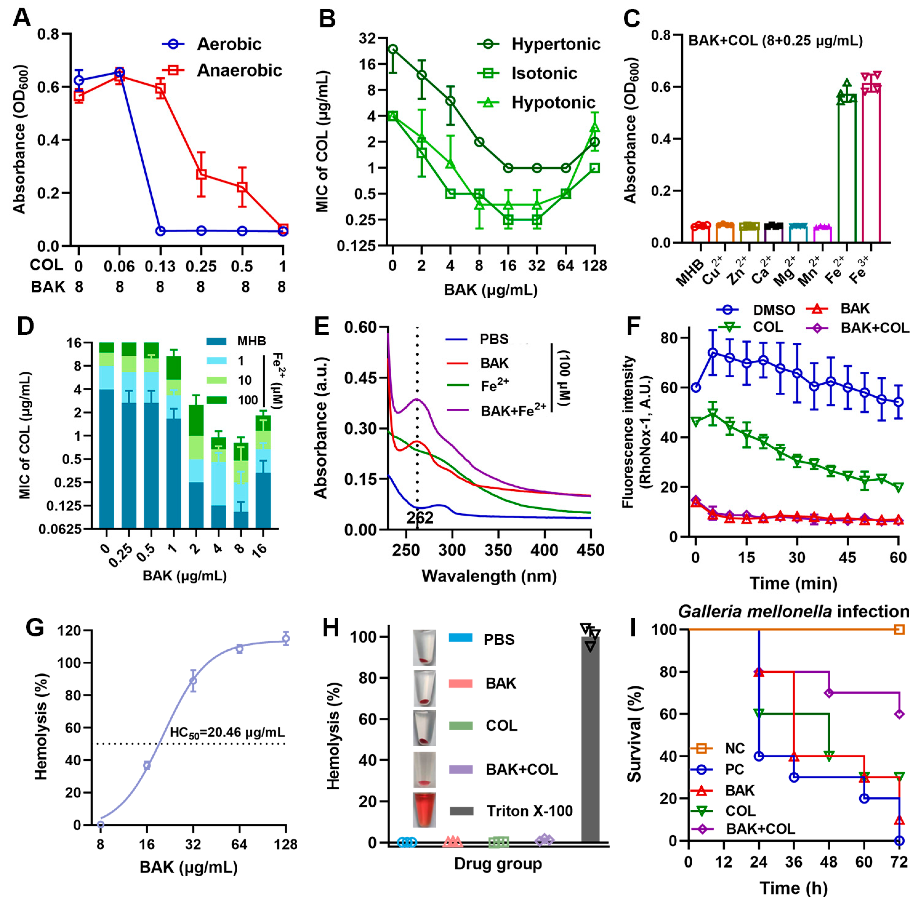 Antioxidants 14 01178 g004