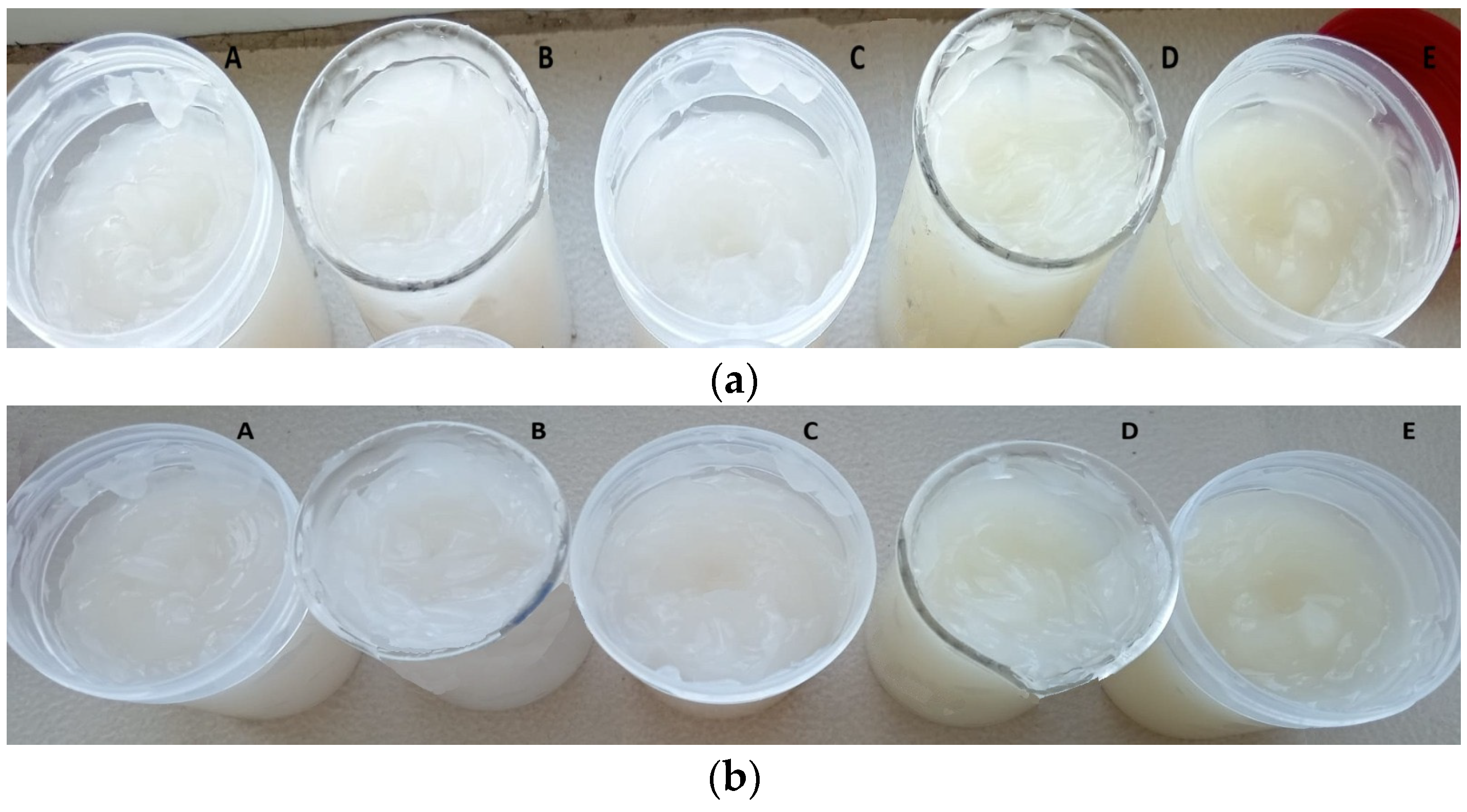 Antioxidants 14 01182 g011 Antioxidants 14 01182 g011
