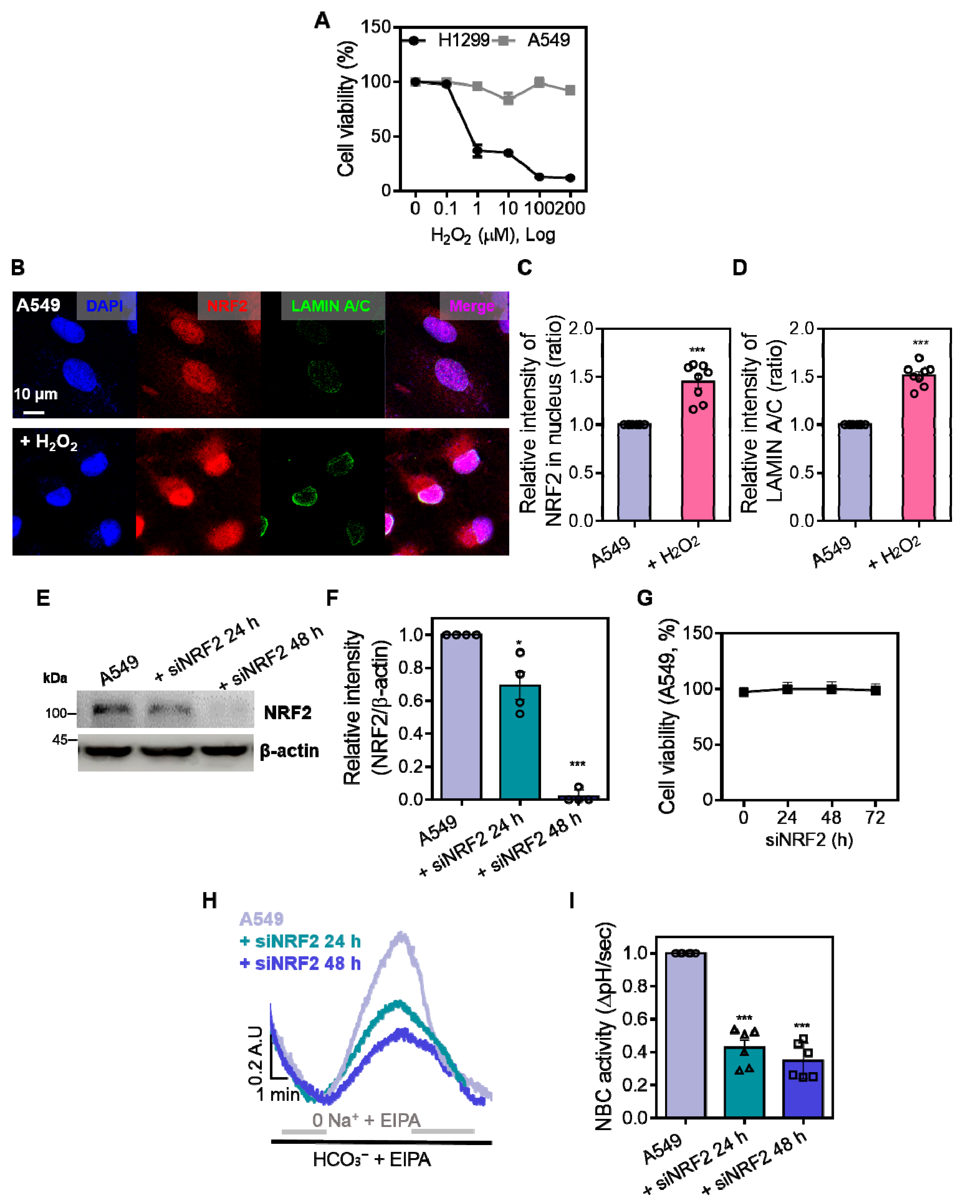 Antioxidants 14 01191 g003 Antioxidants 14 01191 g003