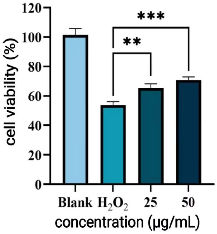 Antioxidants 14 01192 g013