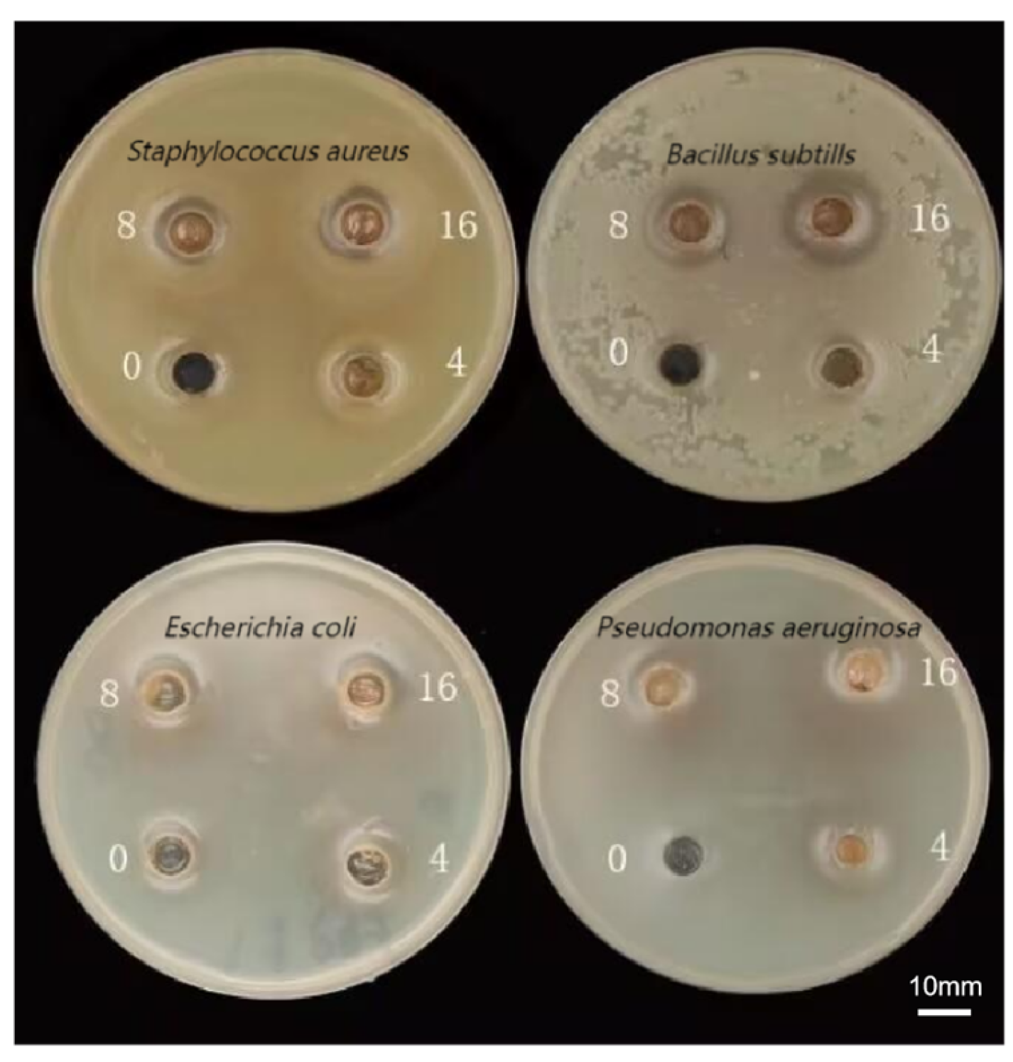 Antioxidants 14 01192 g021