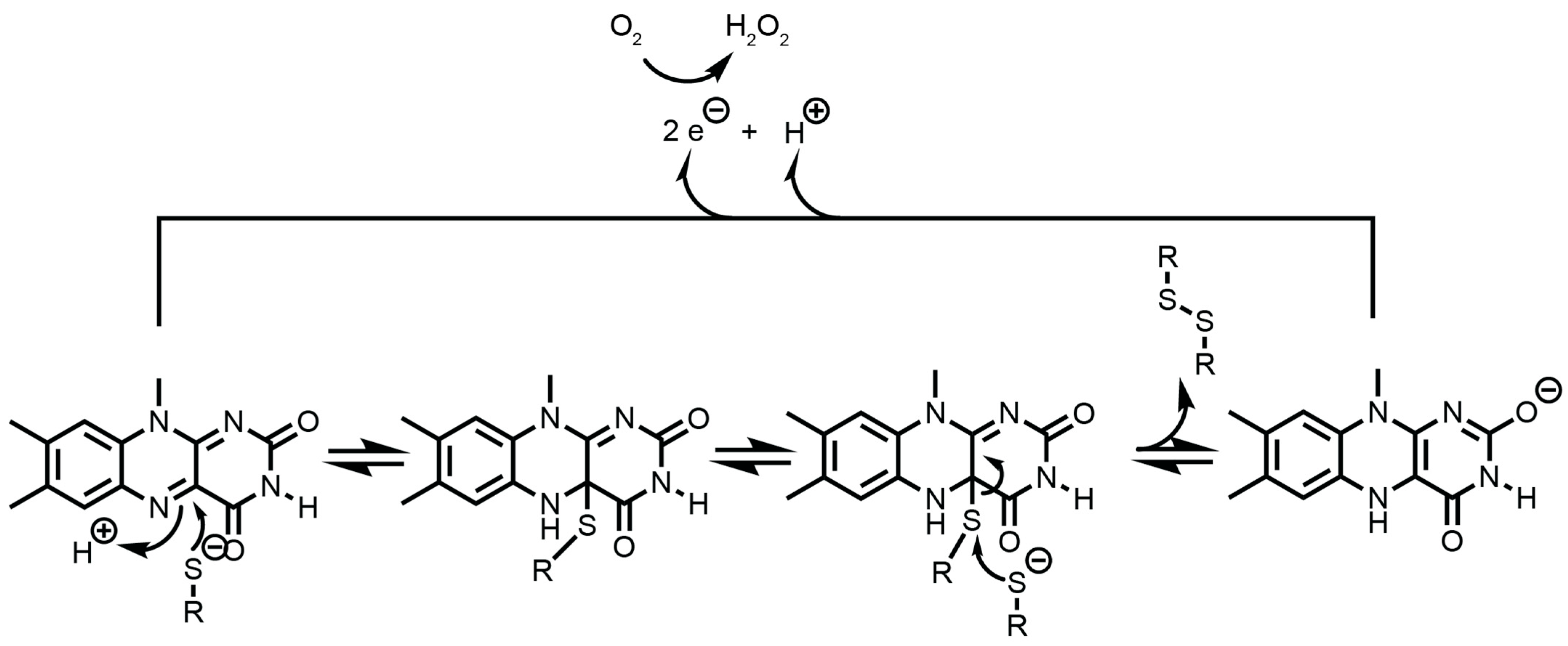 Antioxidants 14 01193 g003